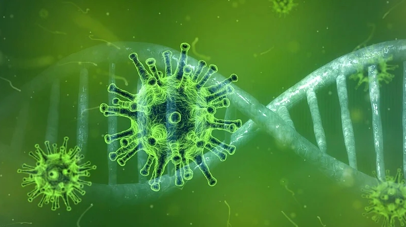 港男遊歐後被驗出武漢肺炎「2次感染」，是全球首例。（pixabay）