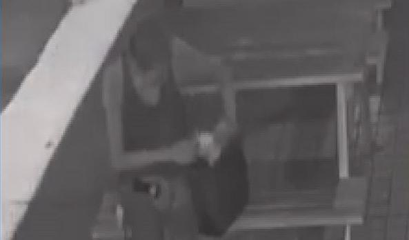 鍾姓男子順手摸走「5萬元」包包,遭苗栗警方逮捕。(翻攝畫面)