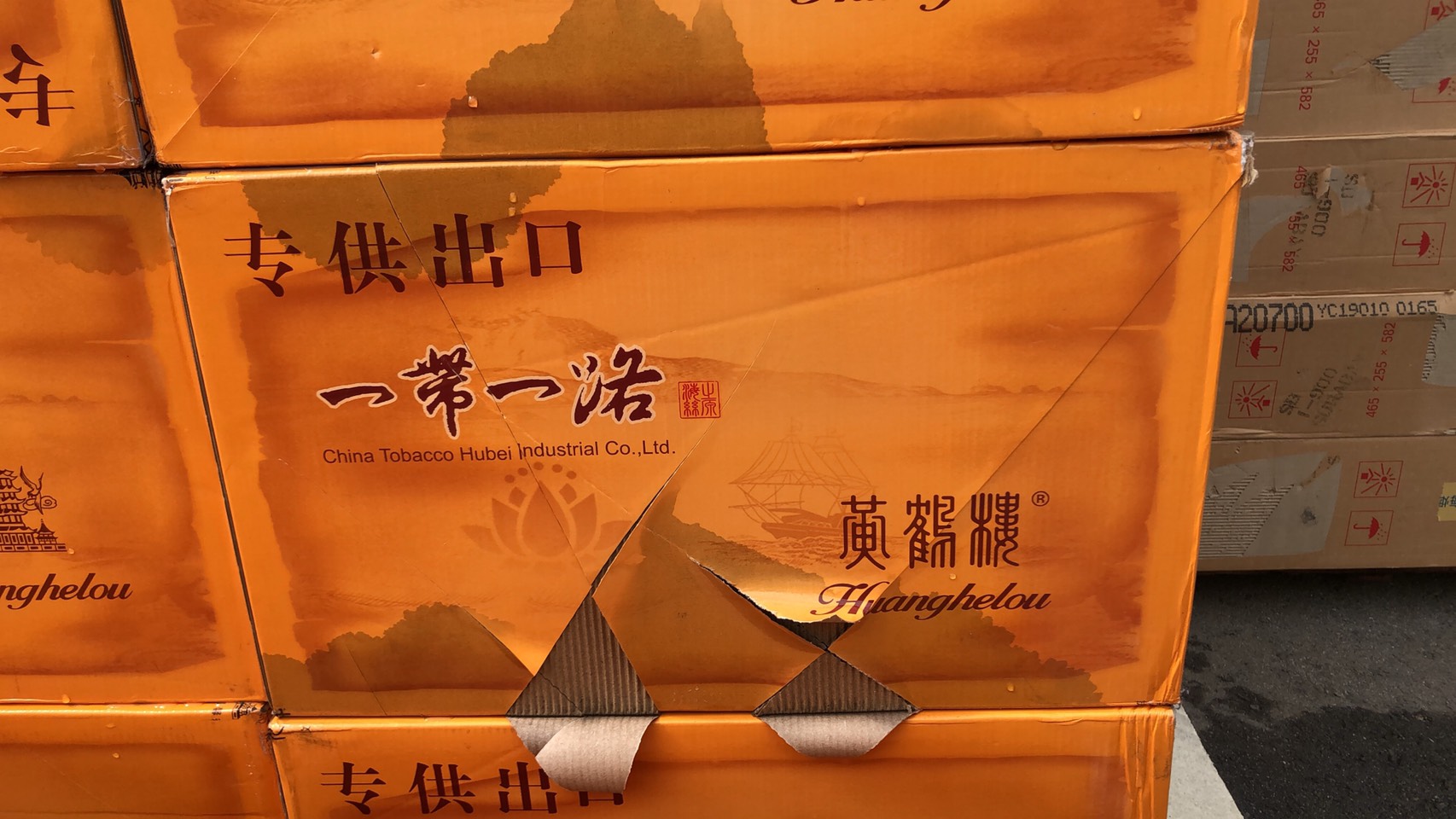 海巡署各式走私的中國香菸。(翻攝畫面)