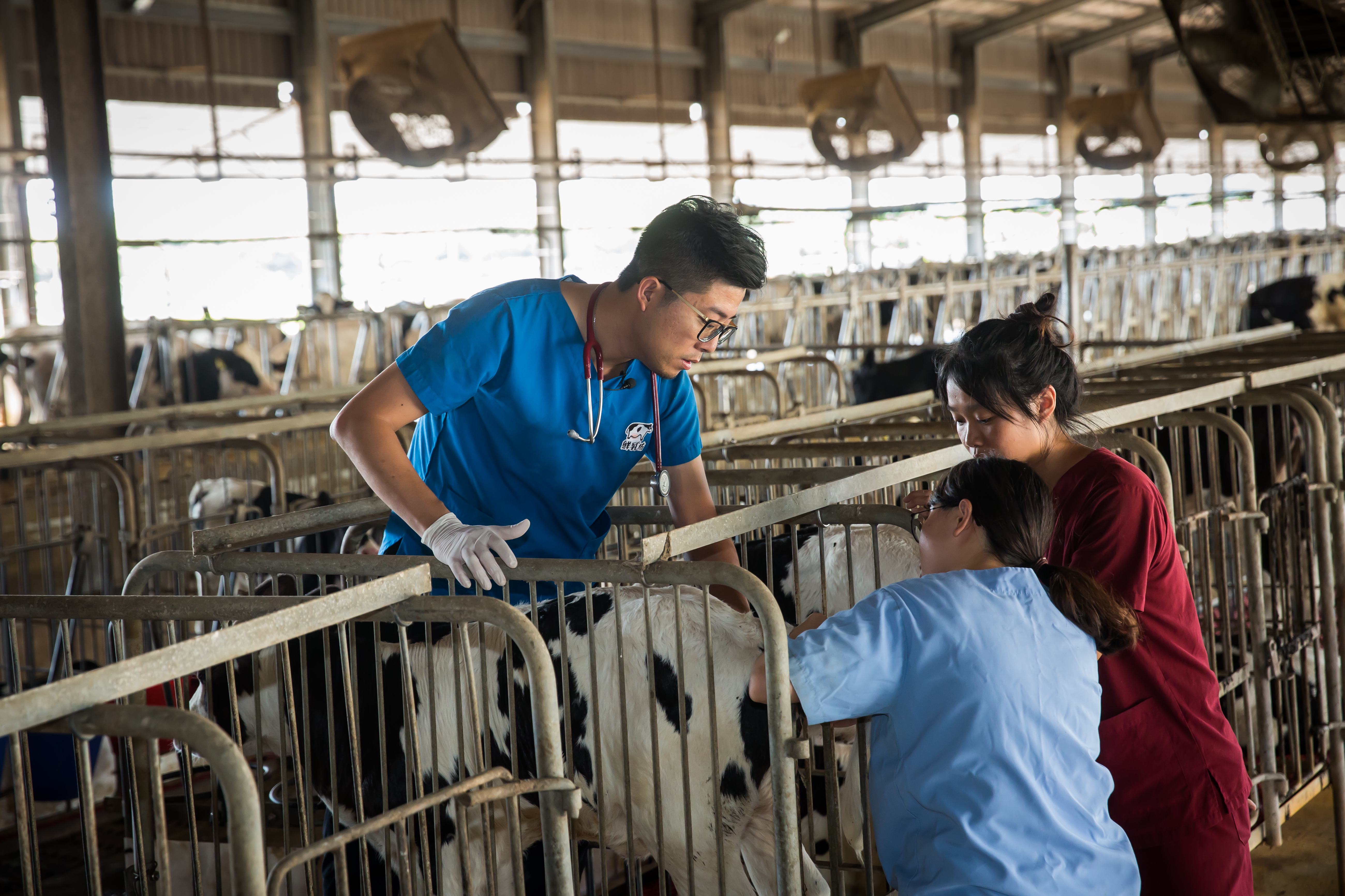 【頭家開講 EP2】一杯牛奶背後的故事  鮮乳坊 慕渴公司董事長龔建嘉