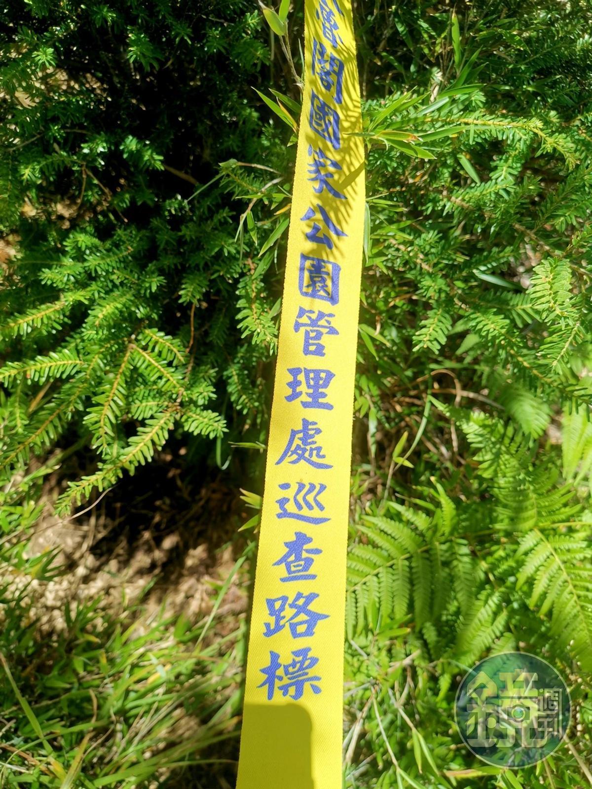 布條是令人安心的指標。