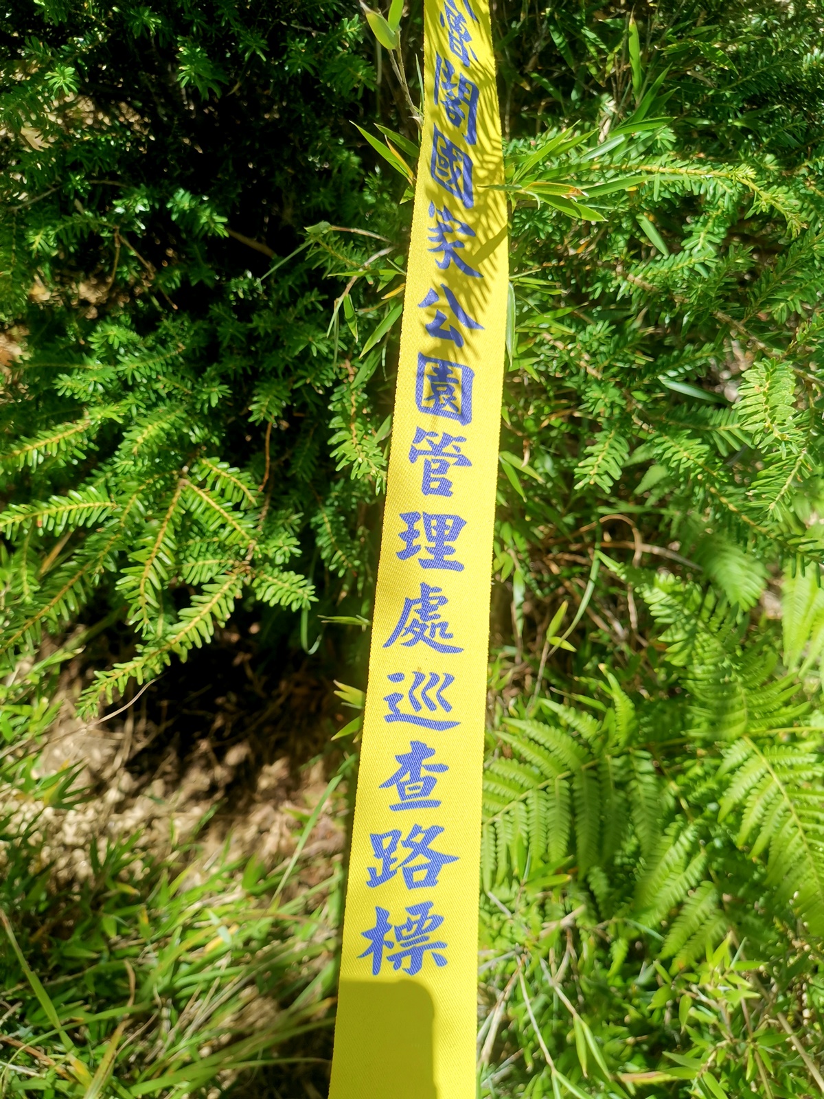 布條是令人安心的指標。