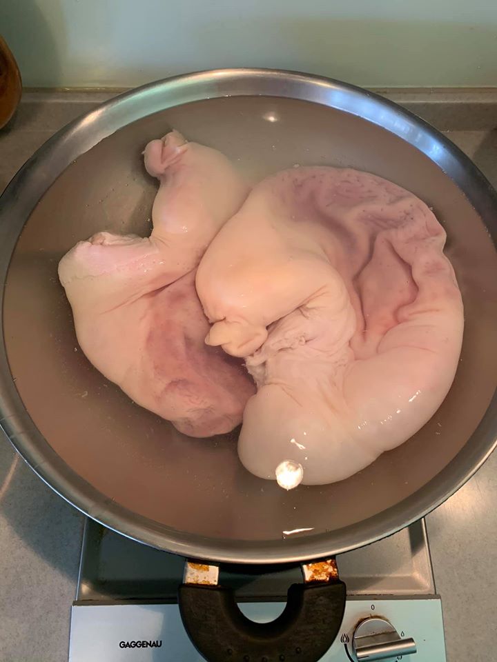 跟肉舖預定清理好的豬肚兩付。