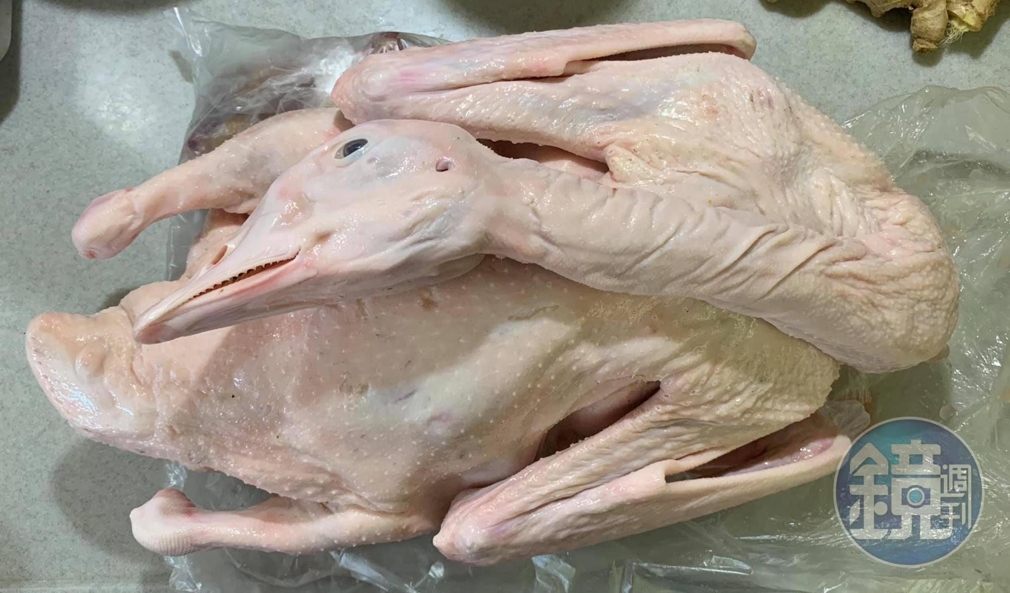 訂了好大一隻鵝。