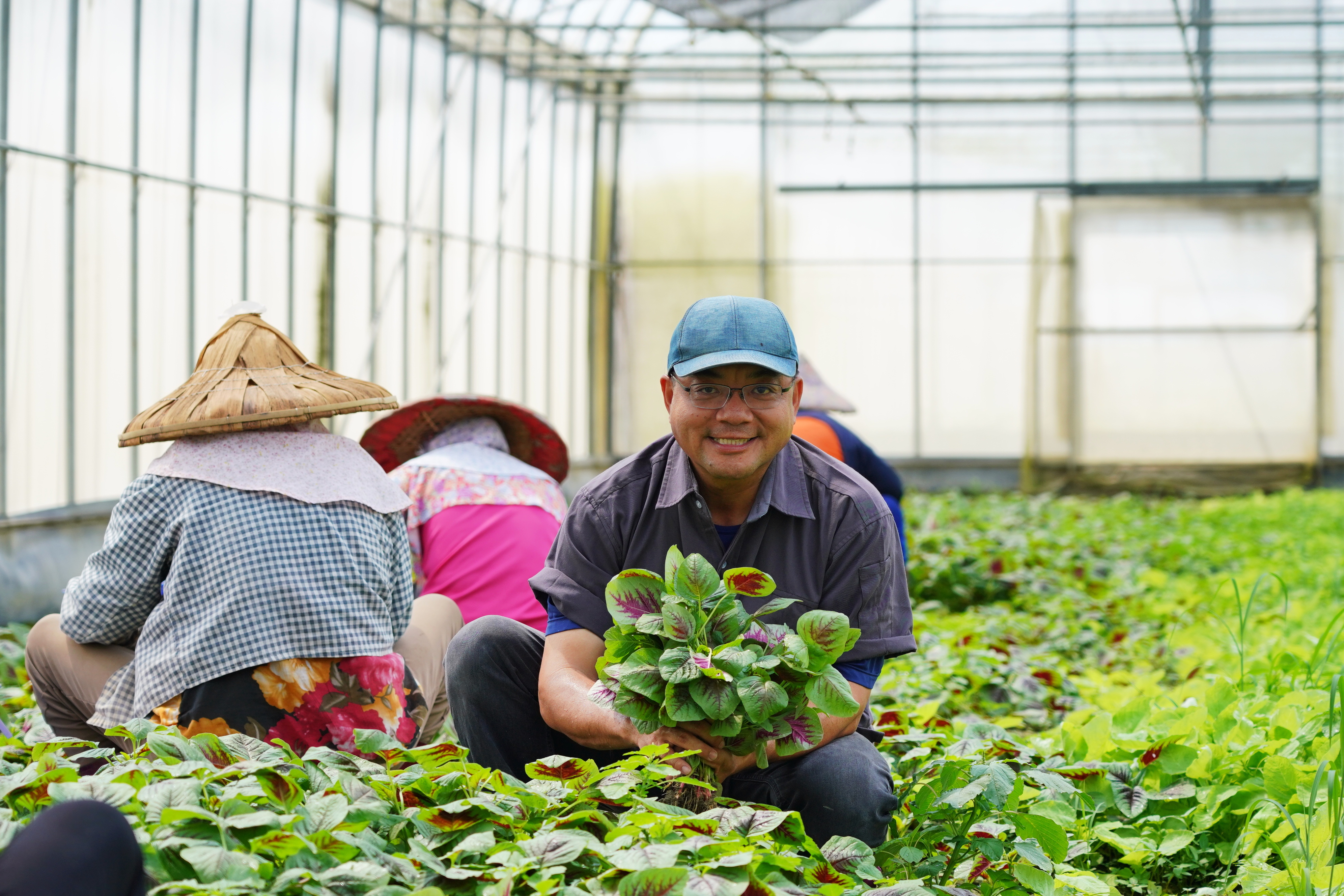 李惟裕曾因農藥遭受健康危機，有過切身之痛更下定決心朝向有機經營。