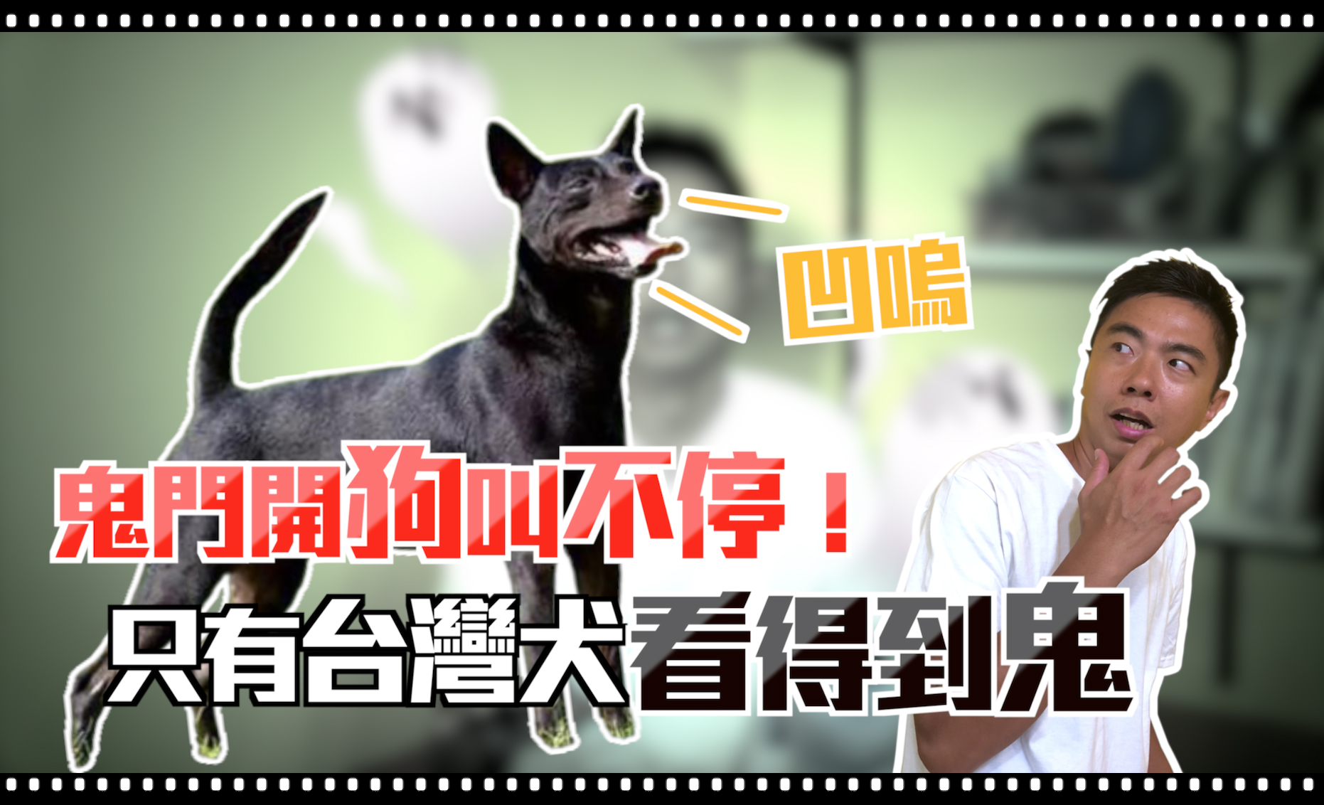 鬼月更常見毛小孩「吹狗螺」，是因為狗狗看到鬼？甘安捏？犬類行為訓練師「熊爸」來揭開真相。