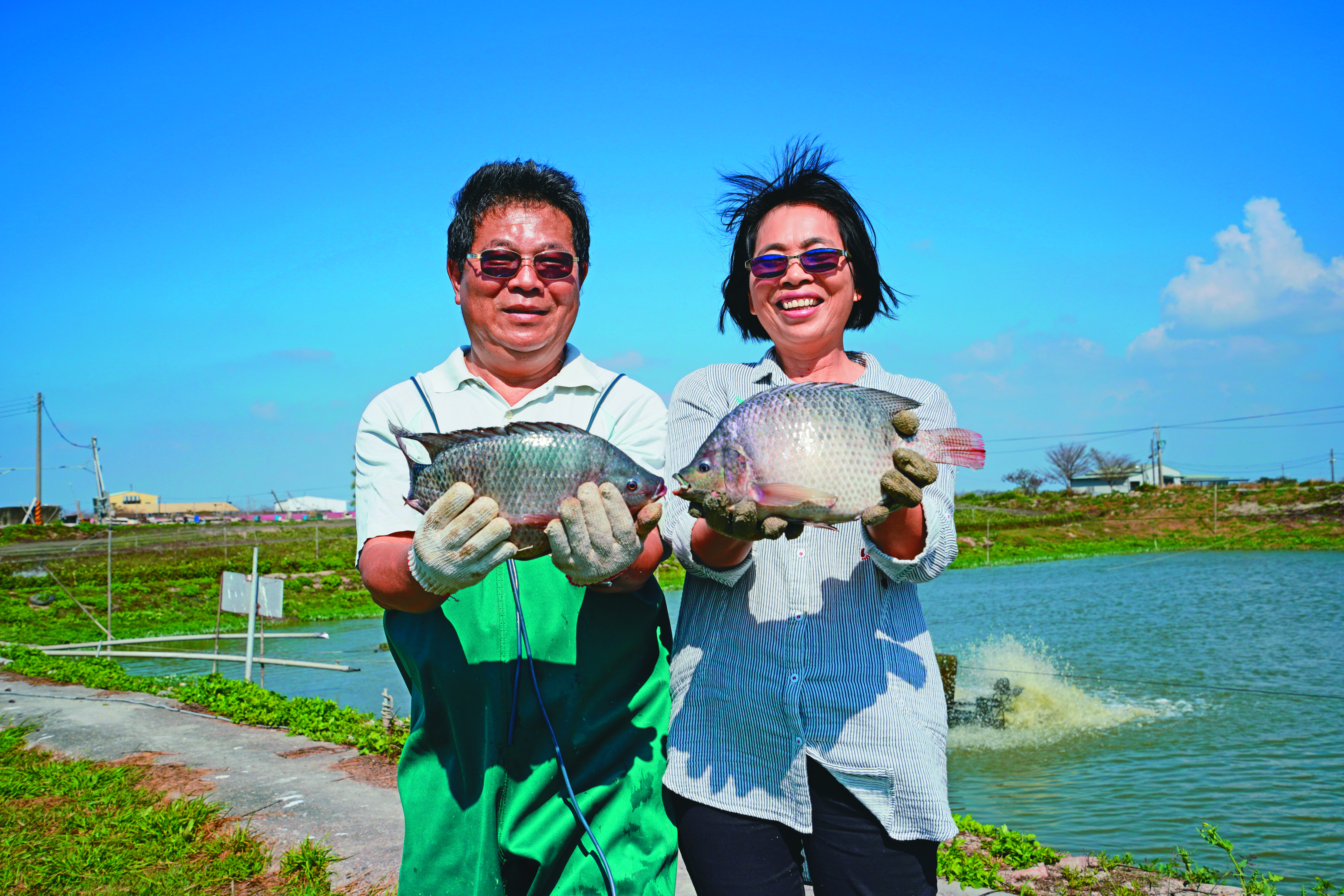 亮哥和亮嫂兩人攜手為養殖園地奮鬥了31年。