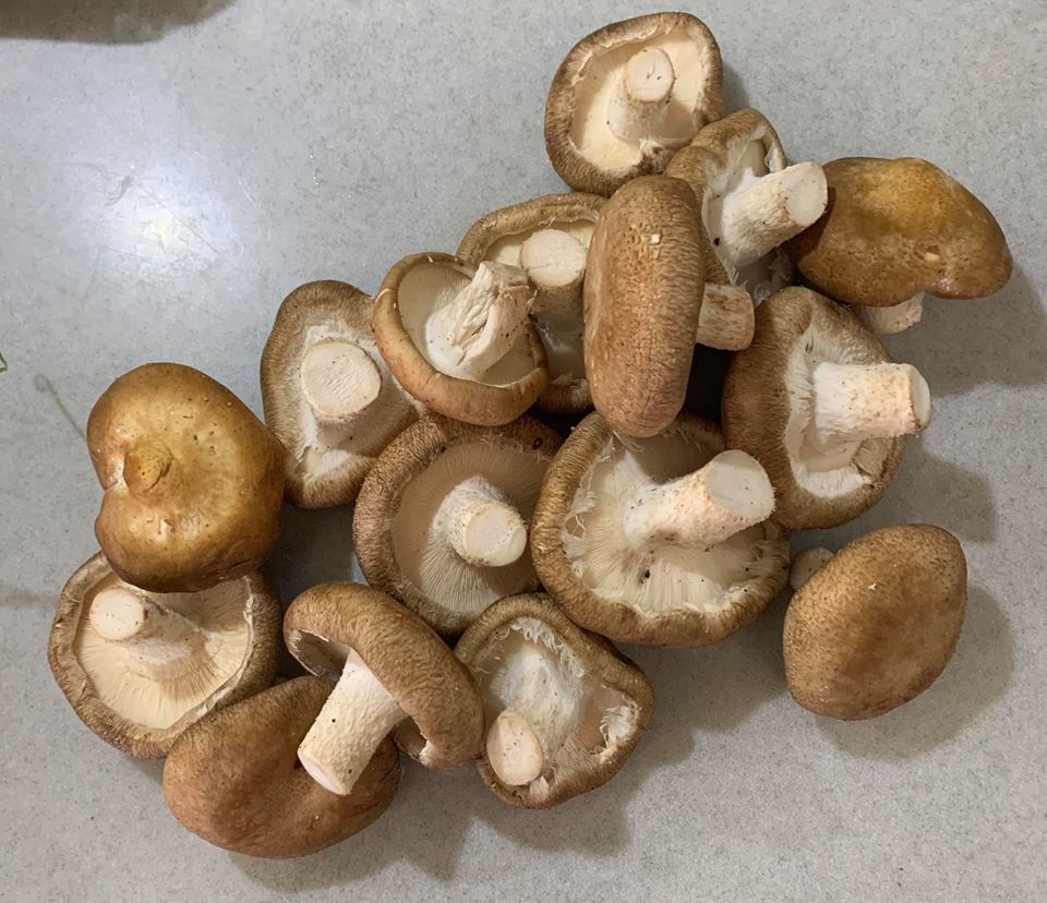 代表黑色的新鮮香菇1包。