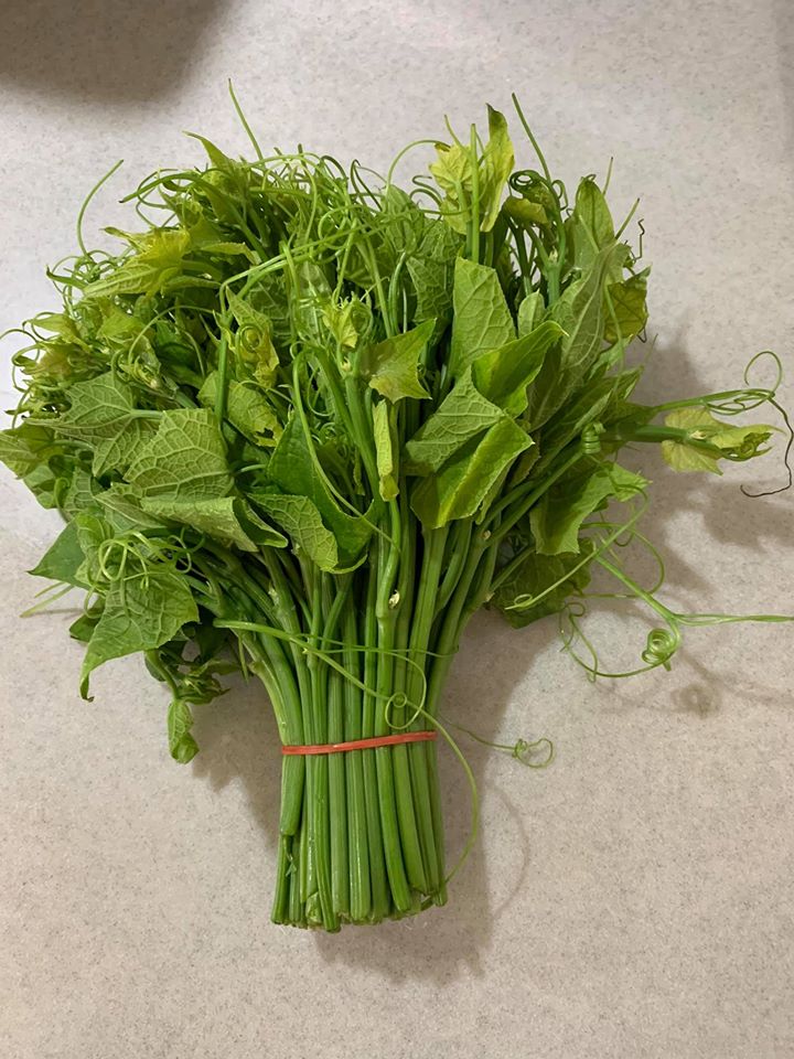 青色代表的龍鬚菜1把。