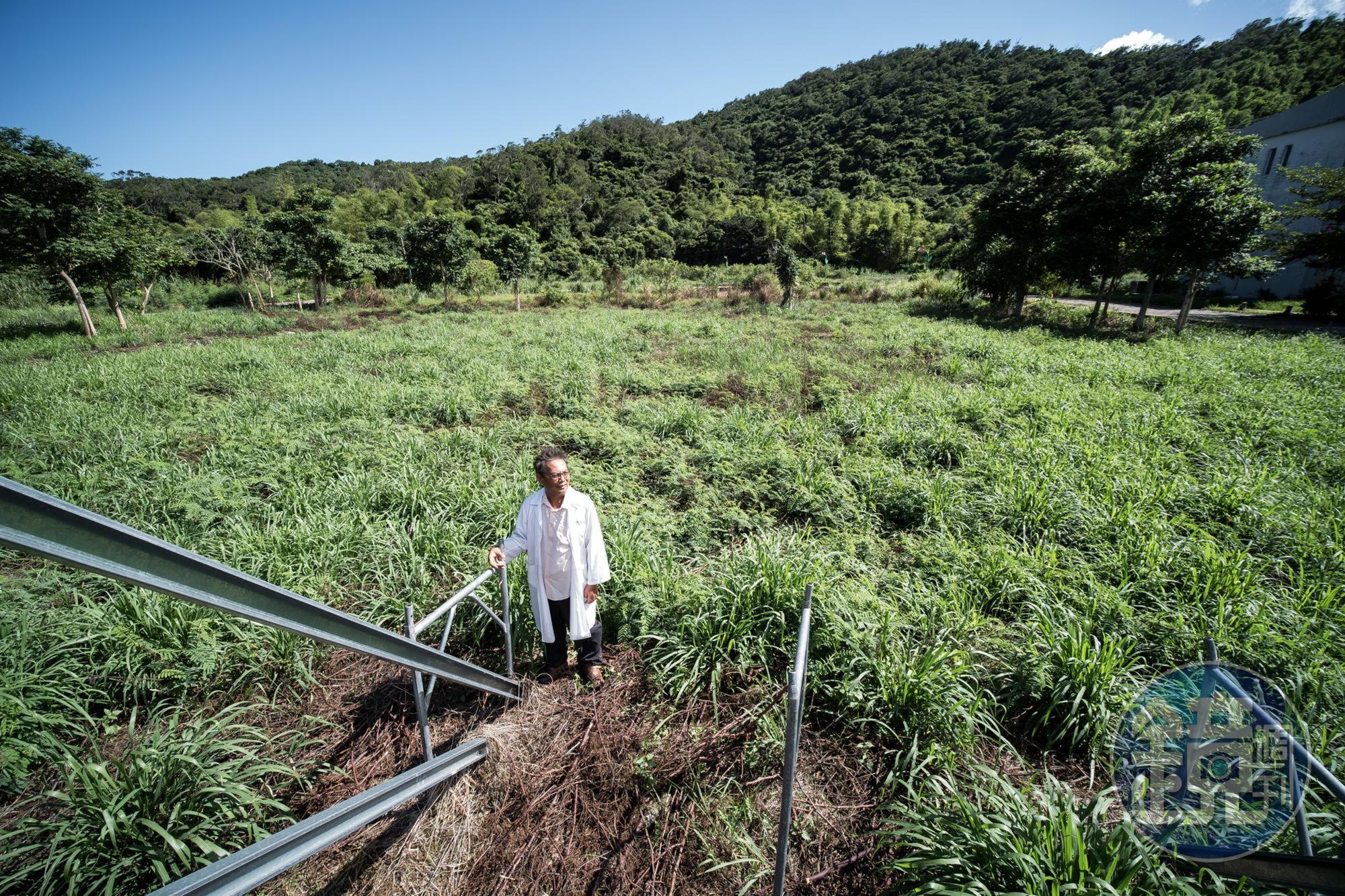 徐超斌步履維艱地走入「南迴醫院」預定地，看著他花兩千萬買下來要建院的地，4年過去了仍只有雜草亂長。