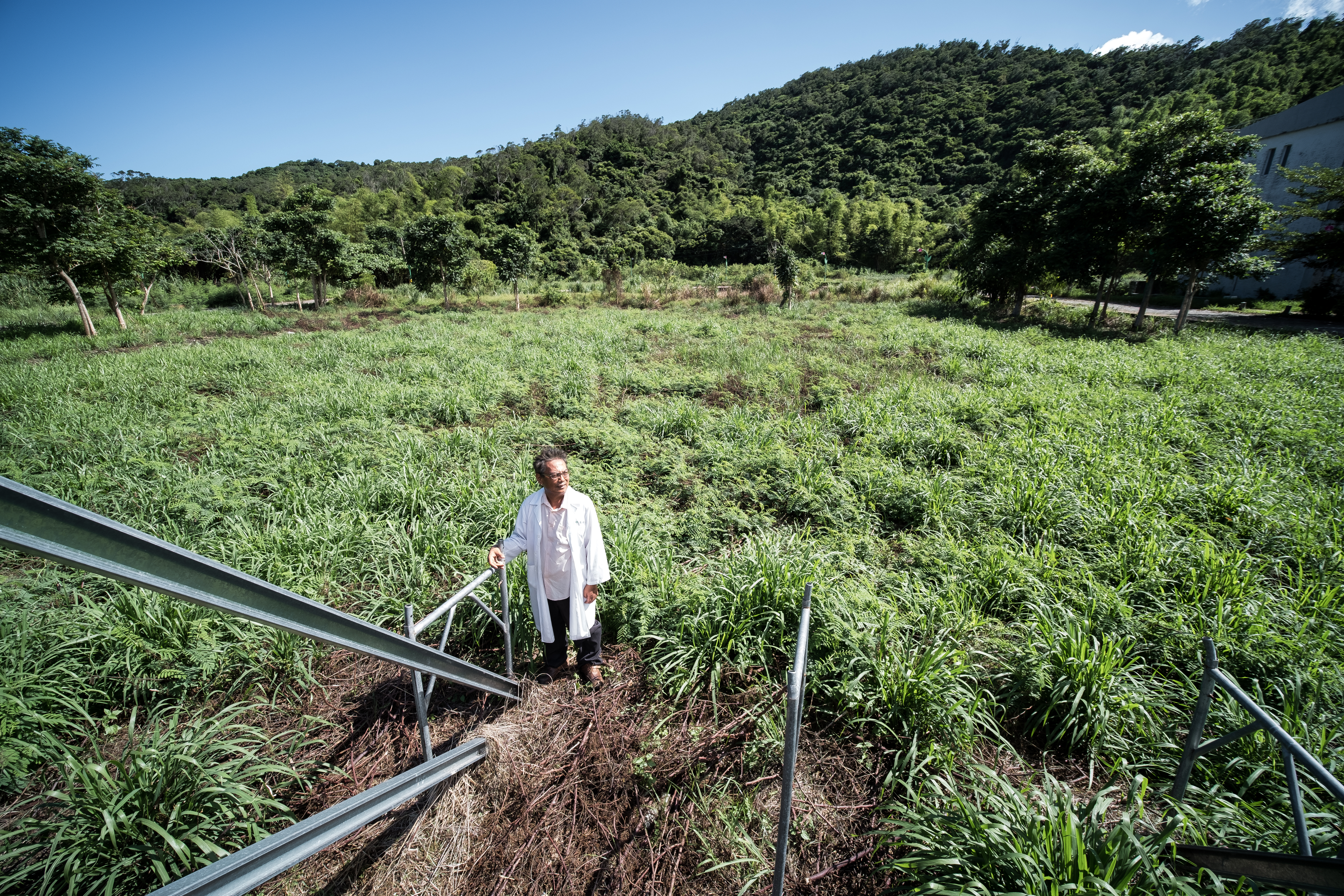 徐超斌步履維艱地走入「南迴醫院」預定地，看著他花兩千萬買下來要建院的地，4年過去了仍只有雜草亂長。