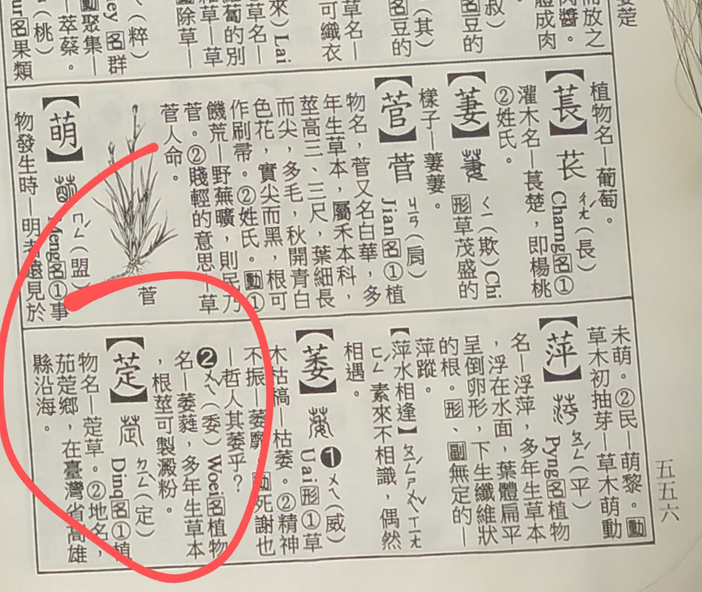 其他字典上的萣字,解釋為植物名與地名。(讀者提供)