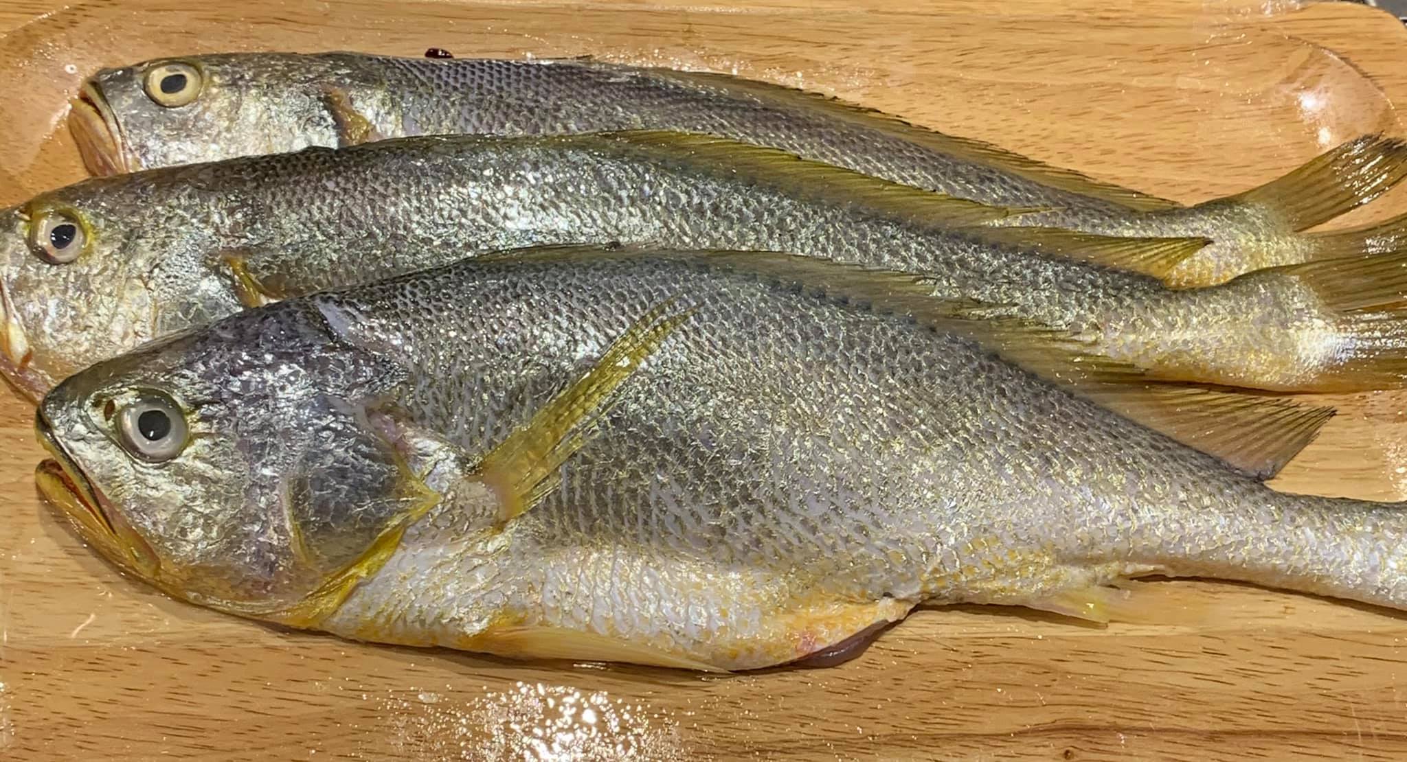 在宜蘭饗宴鐵板燒吃到的野生黃魚。