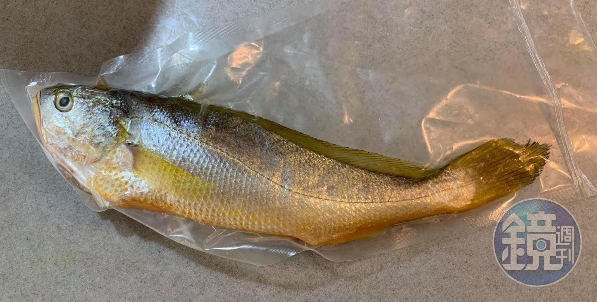 程智勇師傅送我的野生黃魚。