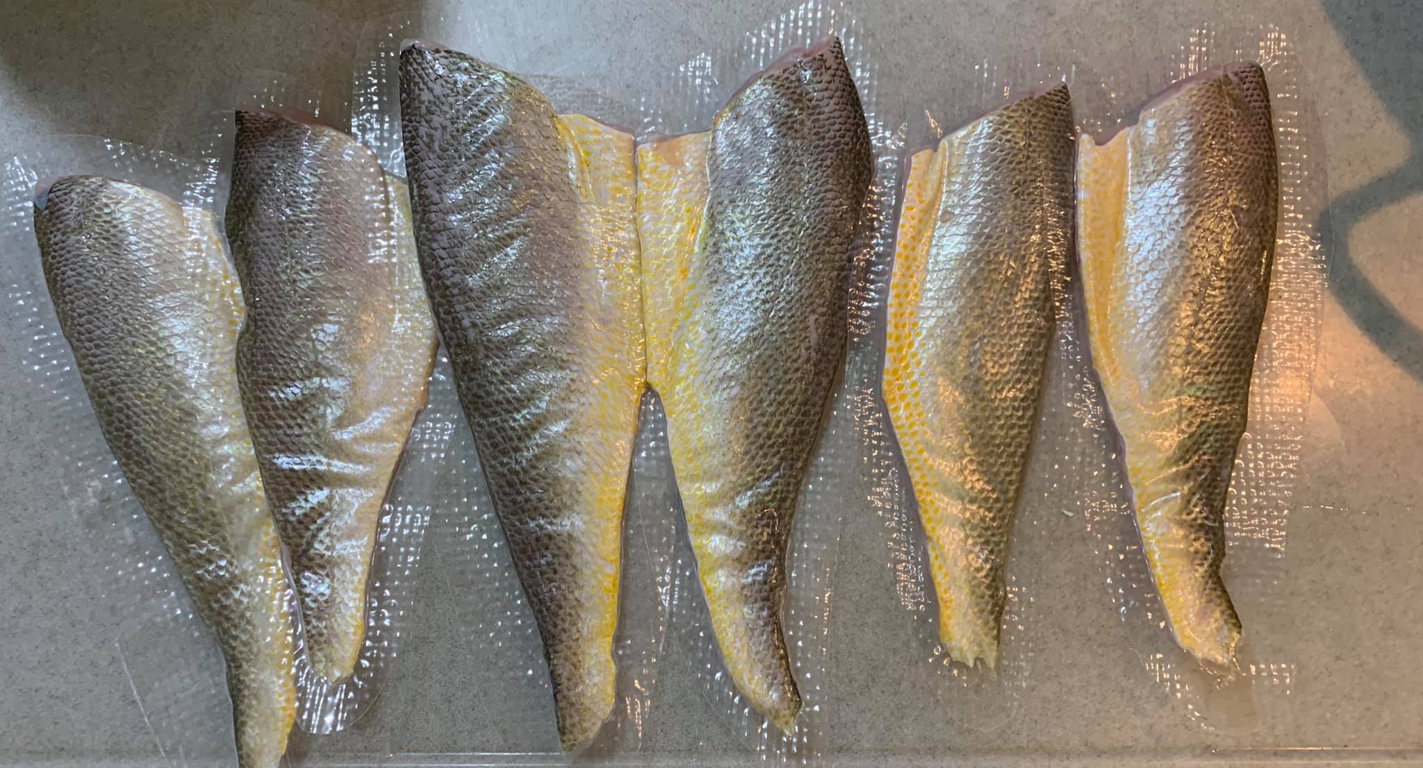 我又買到的野生黃魚切片。