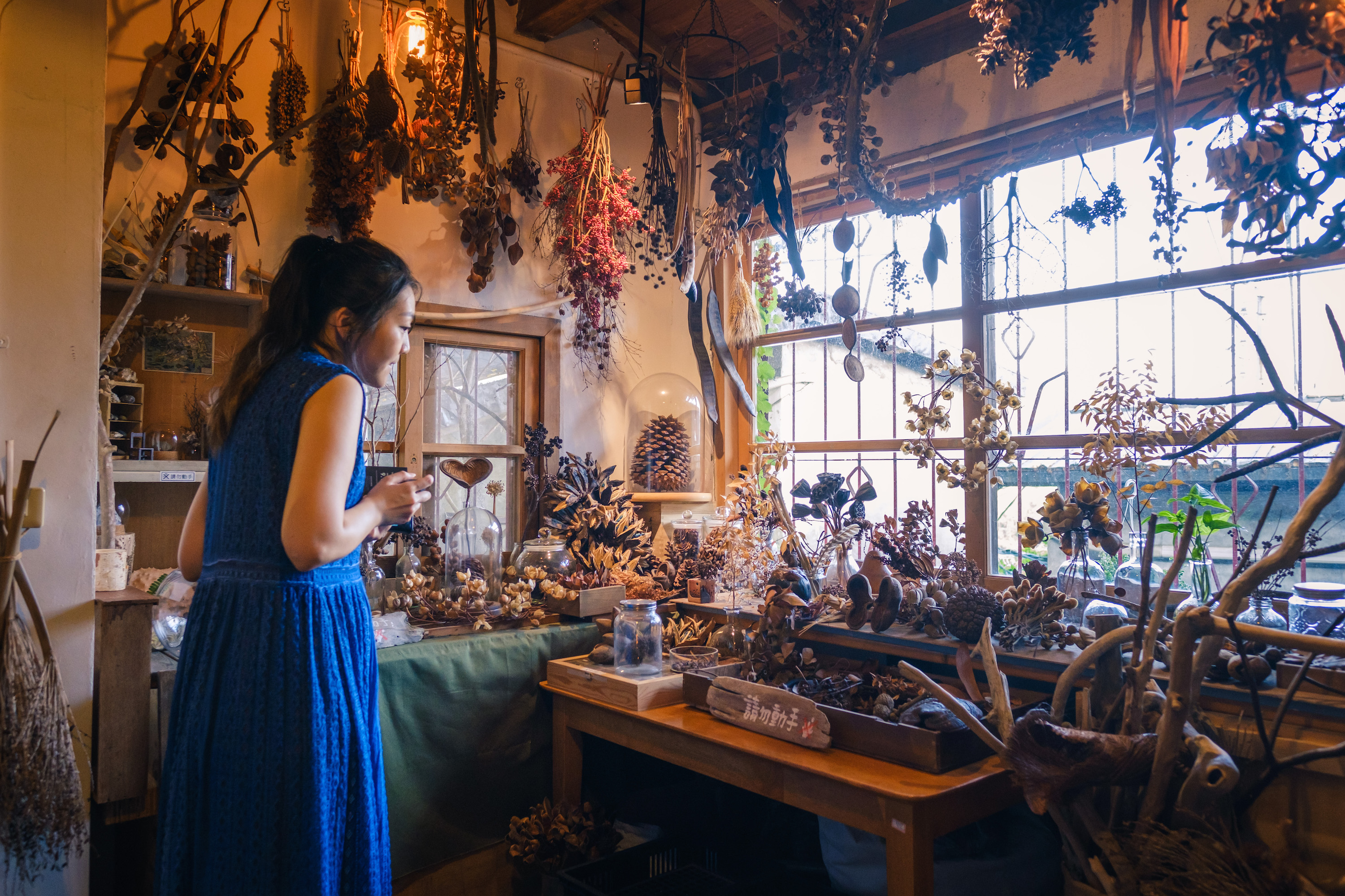 窗景旁的空間放置了各式各樣的乾燥花以及種子，搭配的造型擺設映照窗光，嗅出喜好日雜風格的愛好者。