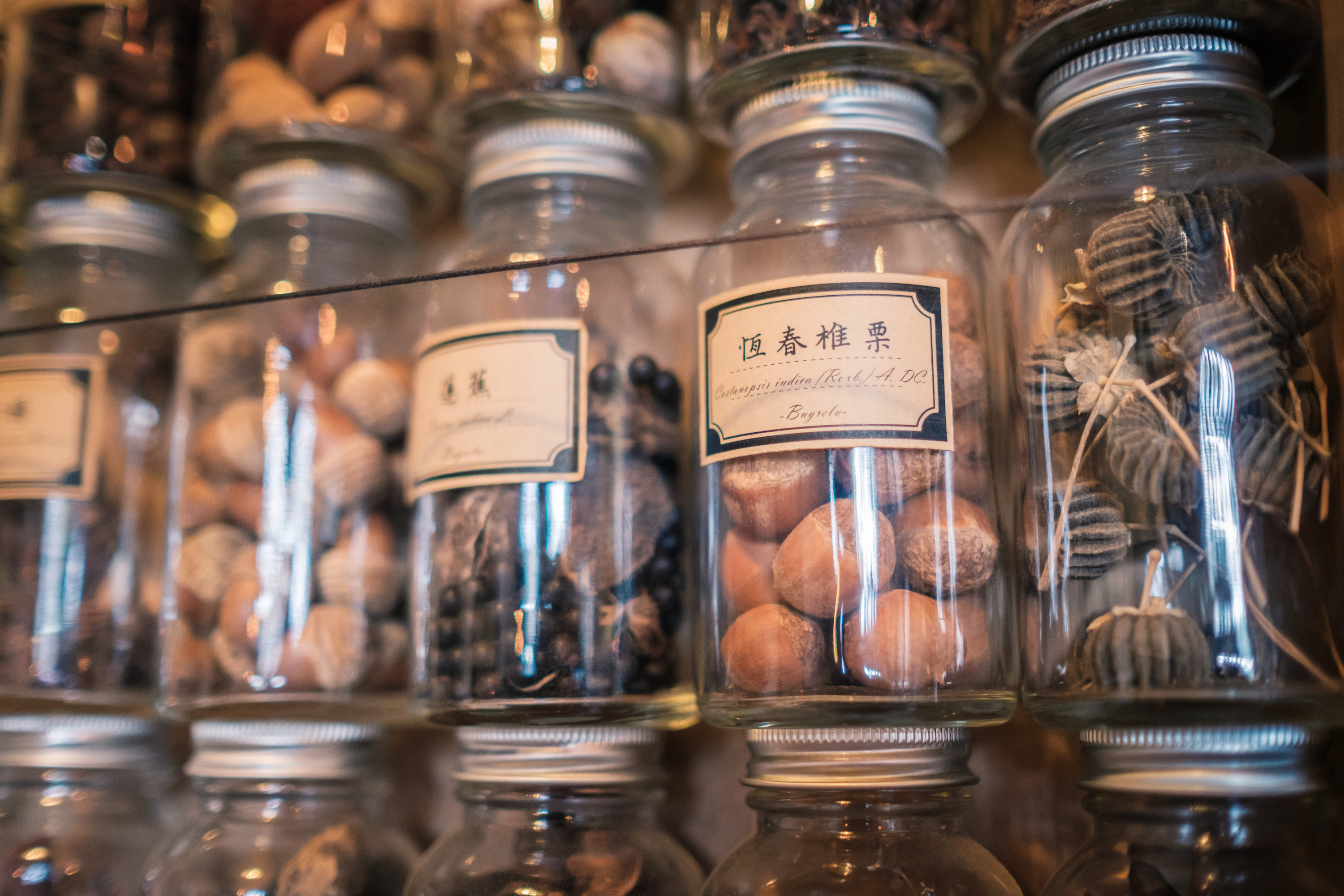 整面牆上用小罐子將各類植物種子分門別類收藏，可以看出主人細心的程度。