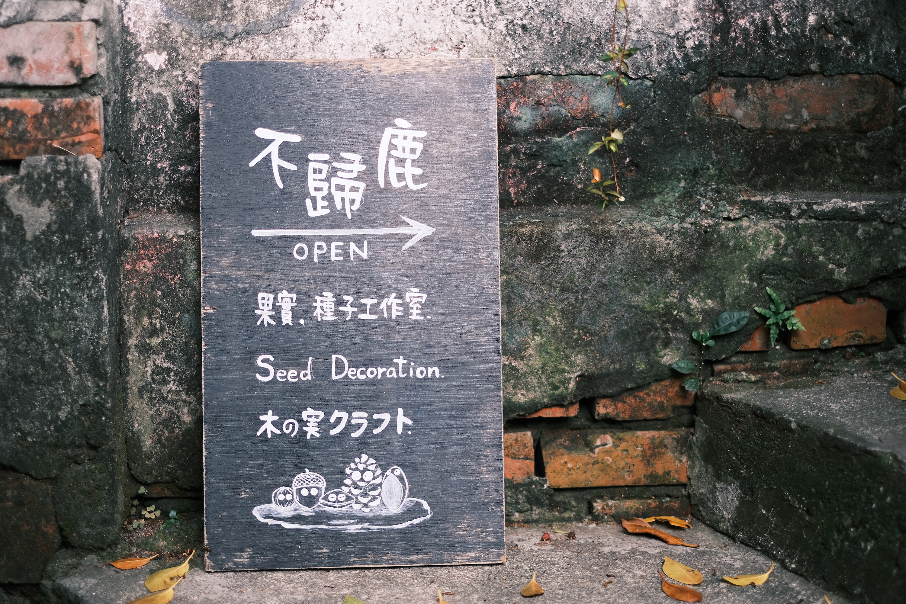 順著寶藏巖尖蚪咖啡旁蜿蜒的小台階而上，老樹下看到「不歸鹿」低調的小小招牌。