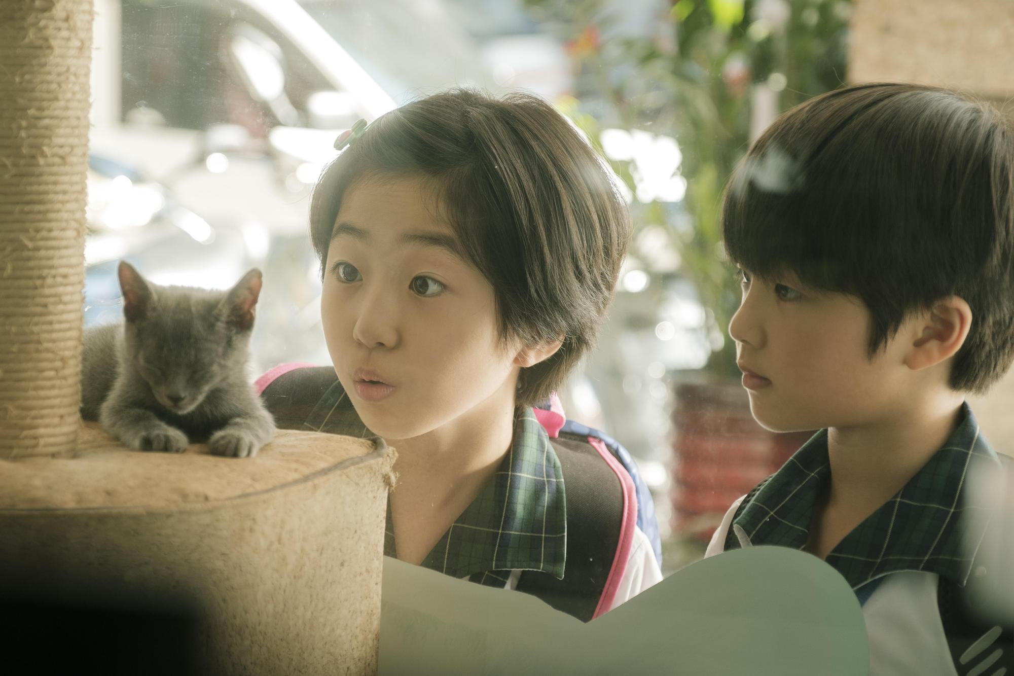 《住戶公約第一條》入圍金鐘獎4項大獎提名,白小櫻精湛演技入圍「迷你劇集最具潛力新人」獎。(鏡文學提供)