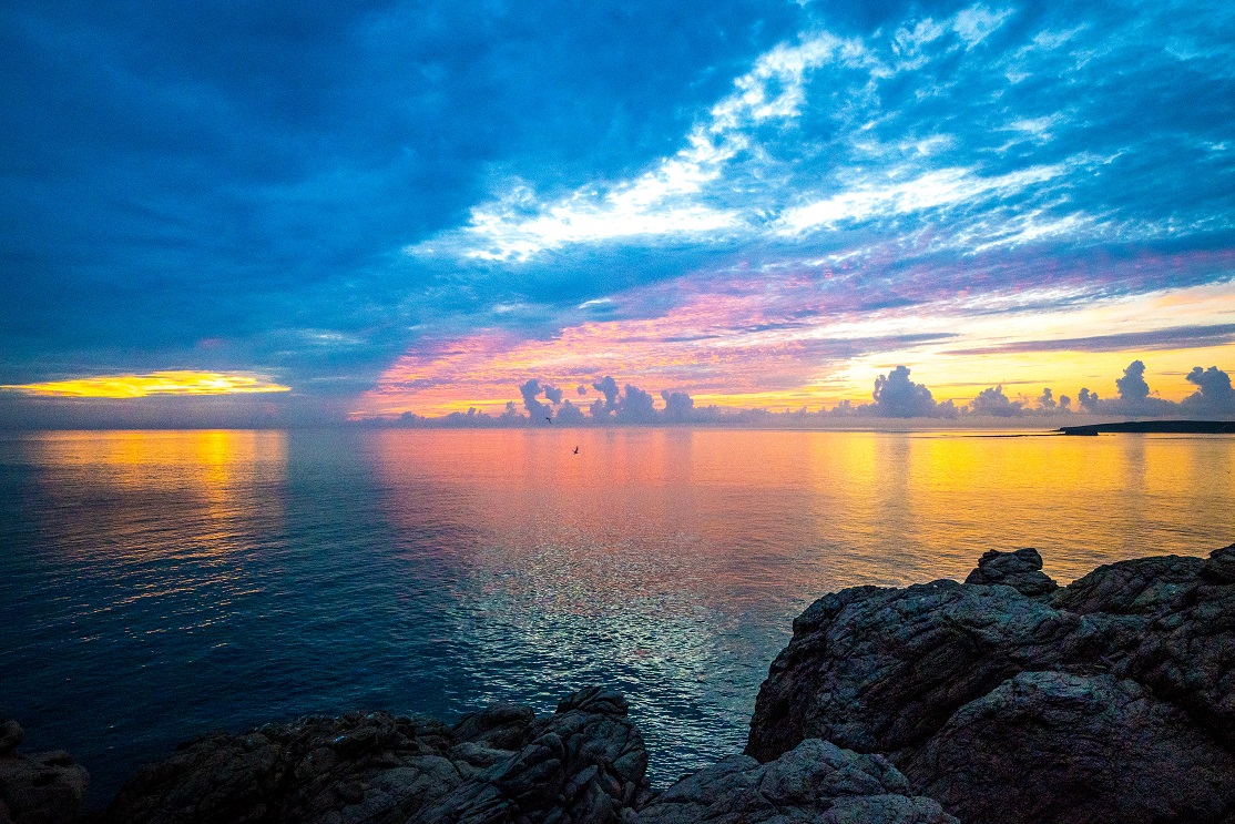無人島一切，一直在腦海中回味著。