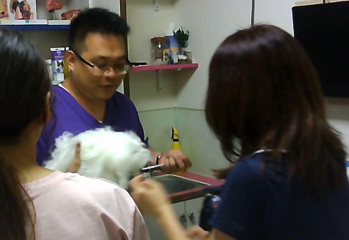 民眾投訴,帶愛犬到幸安動物醫院就診,結果卻由無獸醫執照的蘇燿亨診治。(讀者提供)