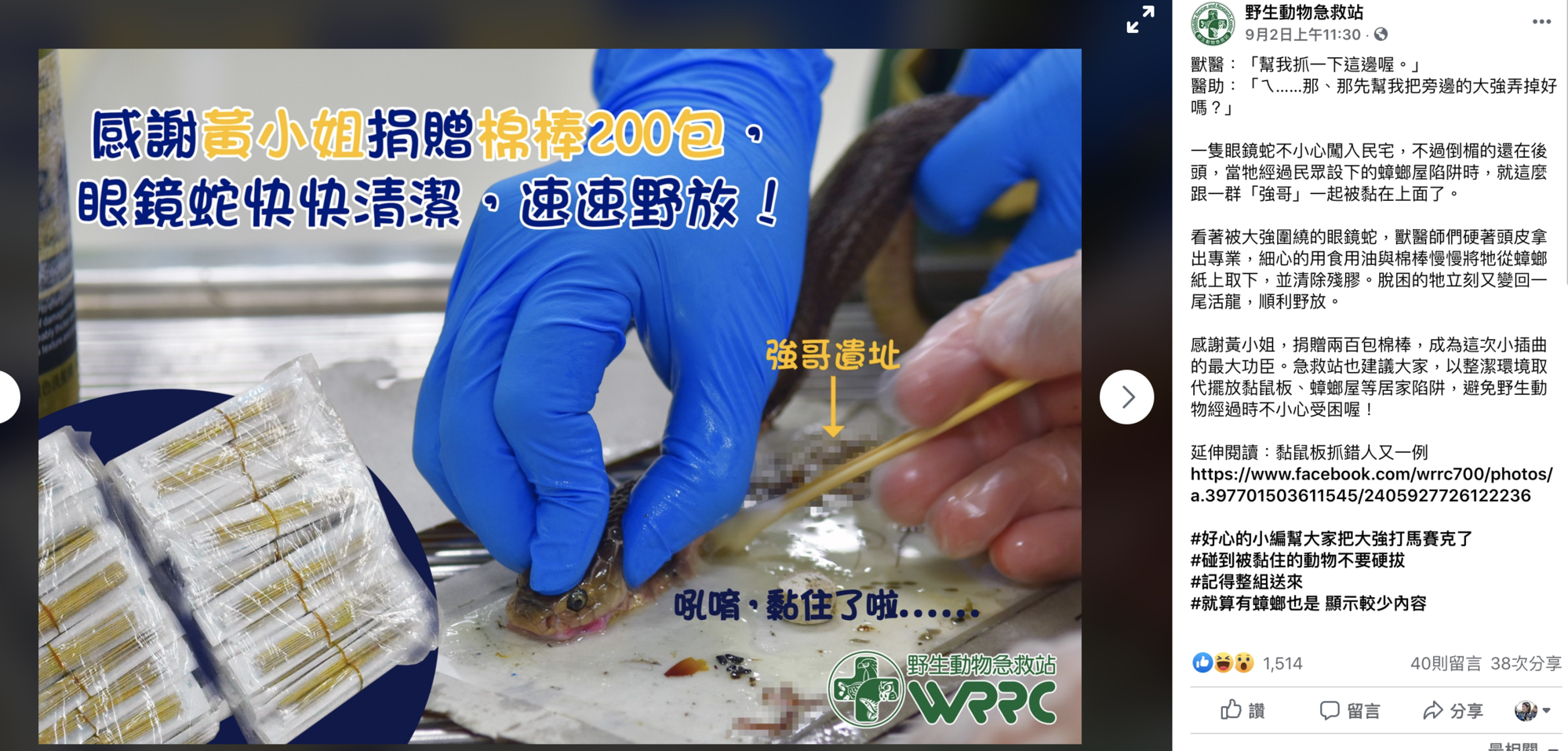 《野生動物急救站》po文表示有眼鏡蛇誤入蟑螂屋被黏死,經過一番工夫終於順利解救。(圖截自《野生動物急救站》臉書)