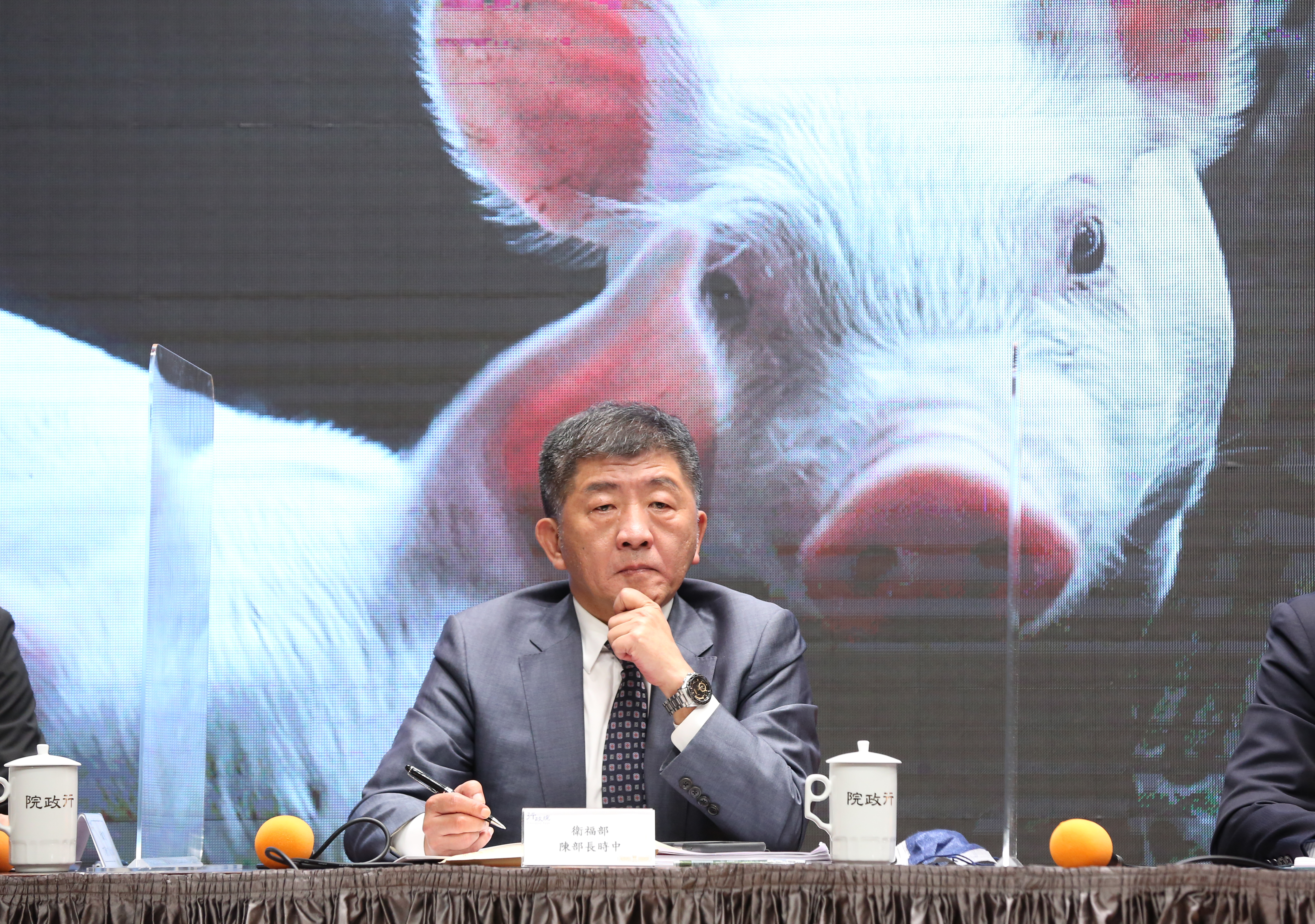 針對美豬開放政策，衛福部長陳時中（圖）被台北市副市長黃珊珊揶揄，「政策不能像月亮，初一、十五不一樣。」（本刊資料照）