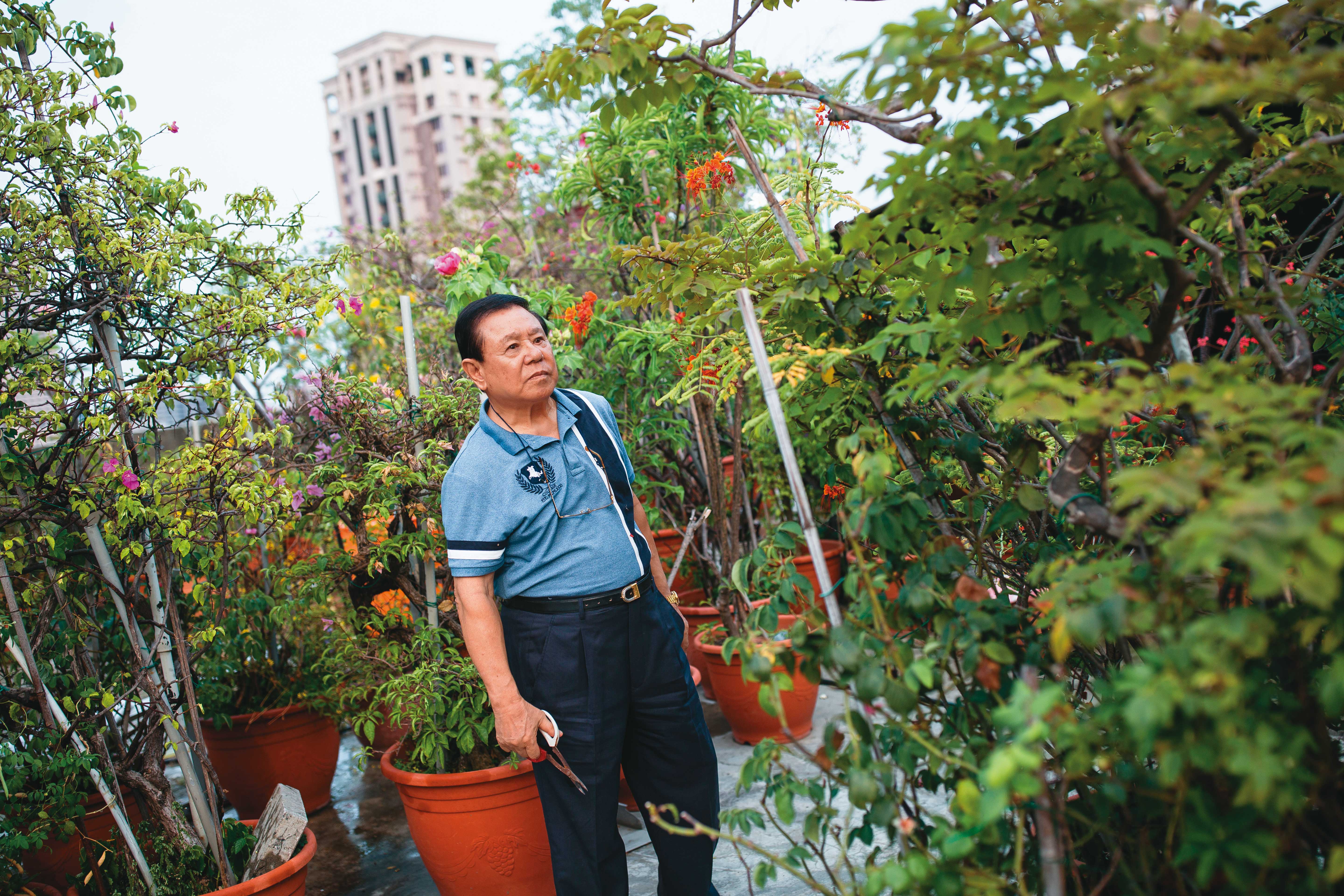 回到台灣的戴崇慶，2000年之後住在昔日開的西餐廳樓上，餐廳已成廢墟，而頂樓種滿花草。
