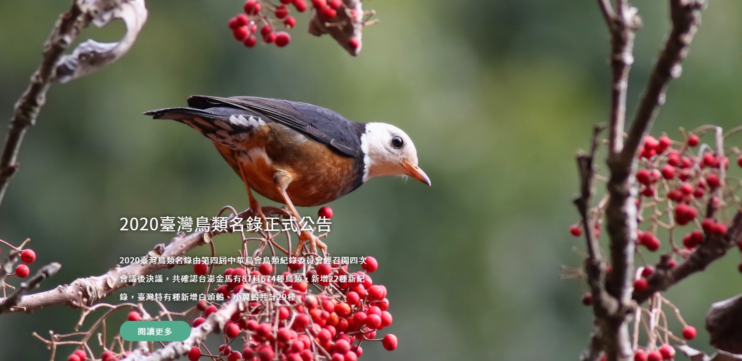 中華鳥會拒絕簽署政治承諾文件，遭國際鳥盟除名。（翻攝自中華民國野鳥學會官網）