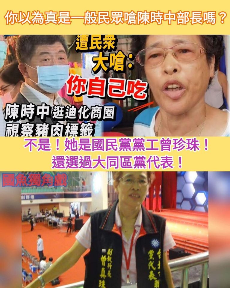 網友起底這名曾姓婦人,其身分為國民黨黨工,還選過黨代表。(翻攝自王定宇臉書)