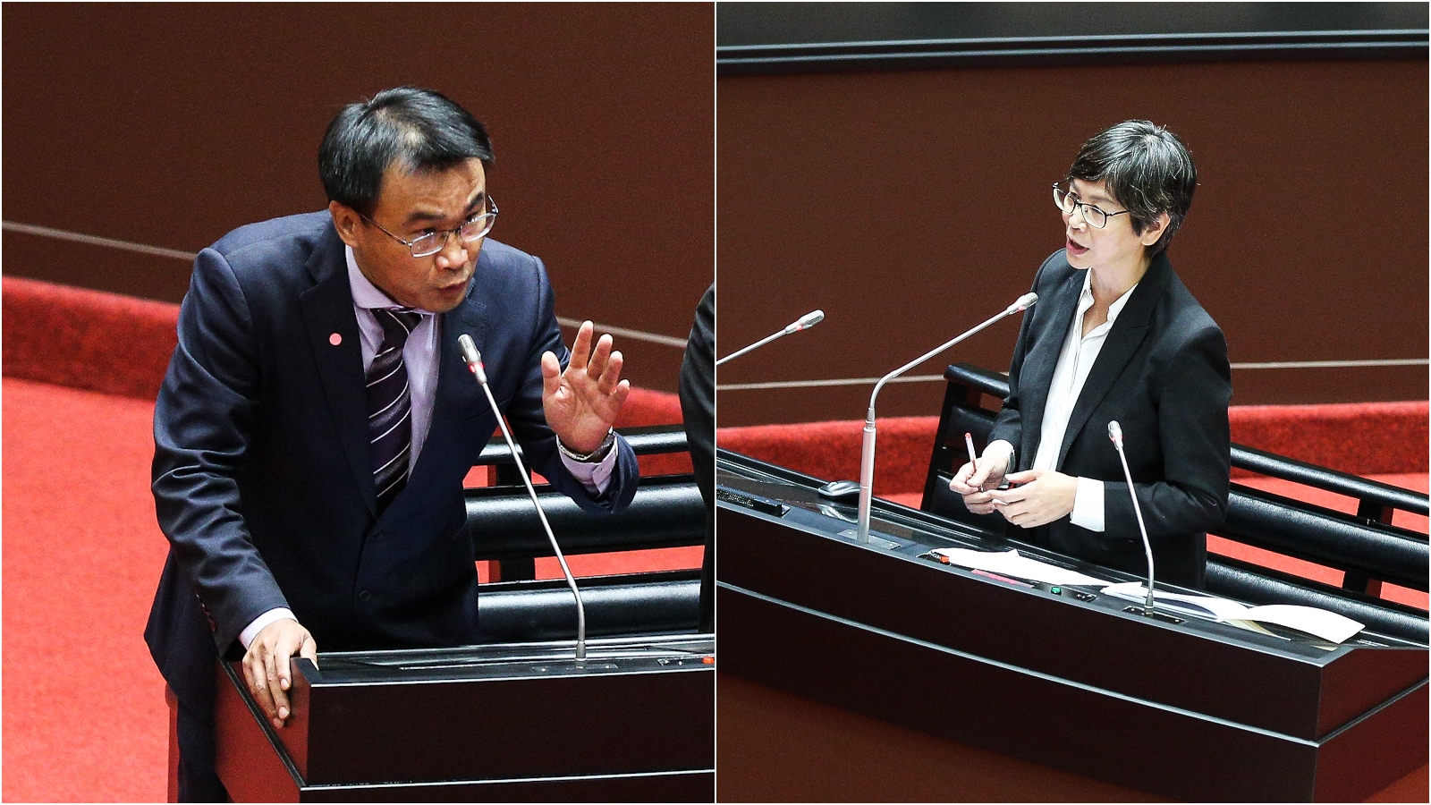 立委蔡壁如（右）質疑民進黨2013年還在反萊豬，農委會主委陳吉仲（左）親自出面解釋。