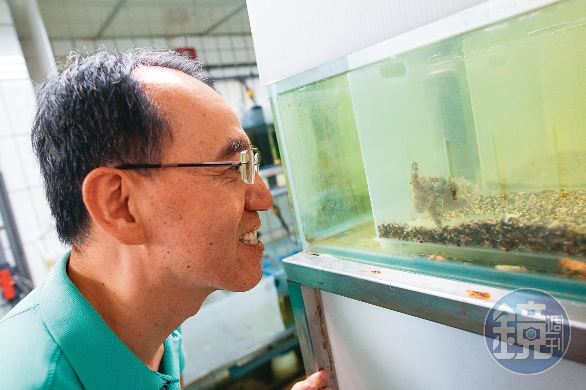 焦傳金談起烏賊總是眉飛色舞、一臉沉醉,宛如烏賊是全世界最可愛迷人的生物。