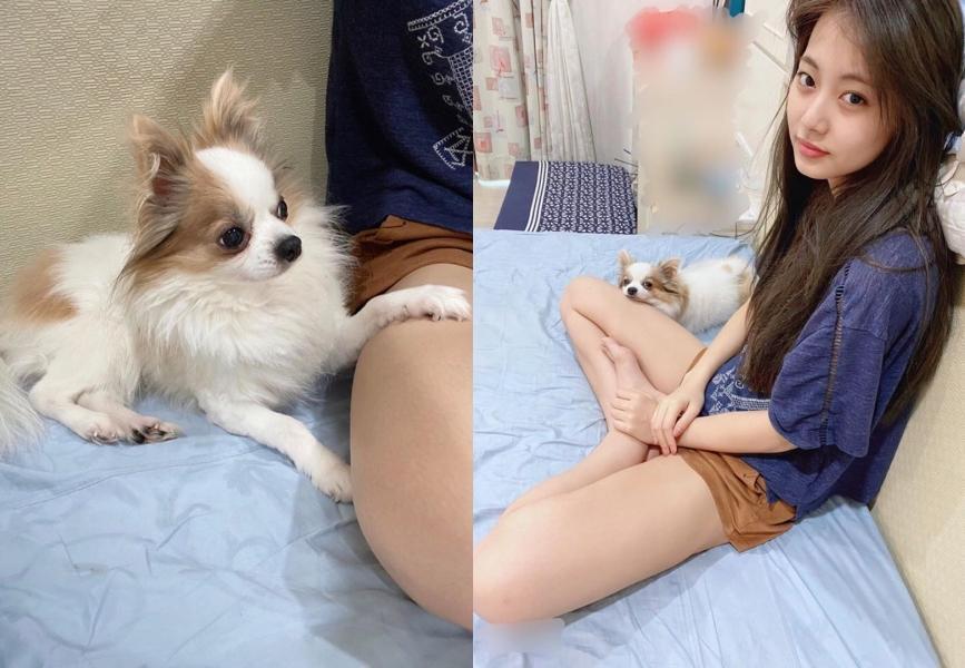 子瑜透過IG哀悼愛犬酷吉去世。(翻攝TWICE IG)