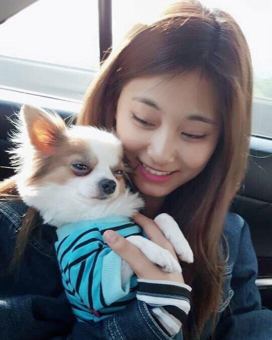 子瑜每回返台,都會抱著愛犬酷吉到處趴趴走。(翻攝TWICE IG)