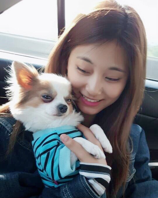 子瑜每回返台，都會抱著愛犬酷吉到處趴趴走。（翻攝TWICE IG）