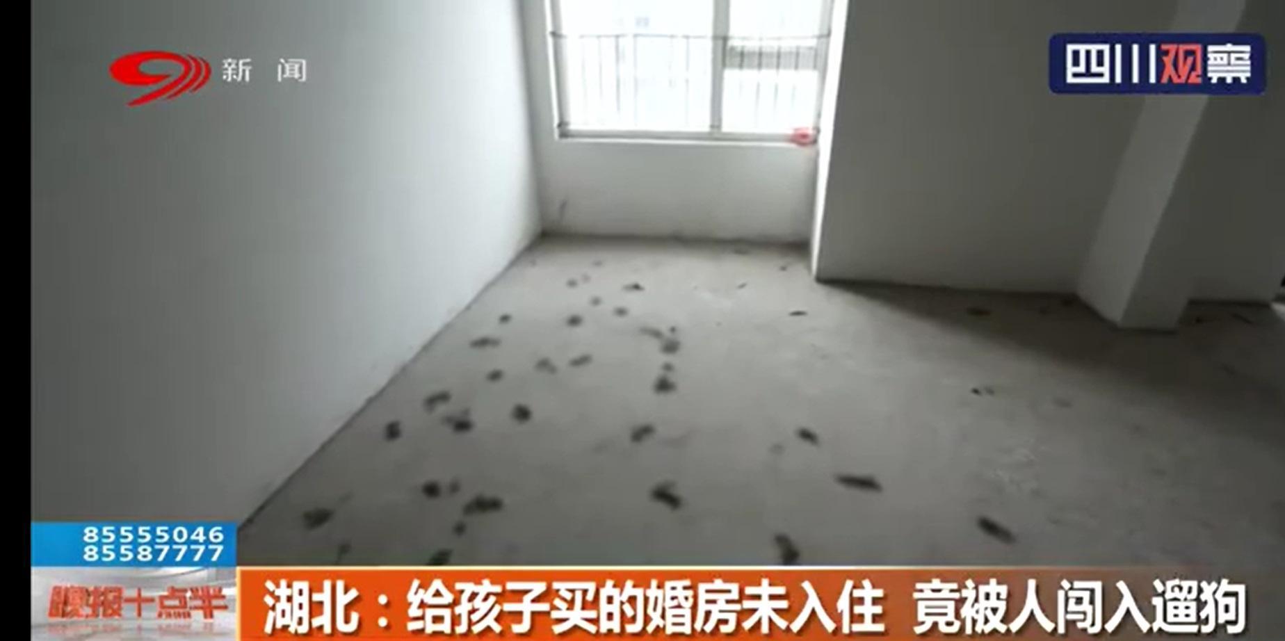 唐姓婦人表示這間房子是要給兒子的新房，沒想到竟被人闖入遛狗還留下滿地黃金。 （翻攝自四川觀察視頻）