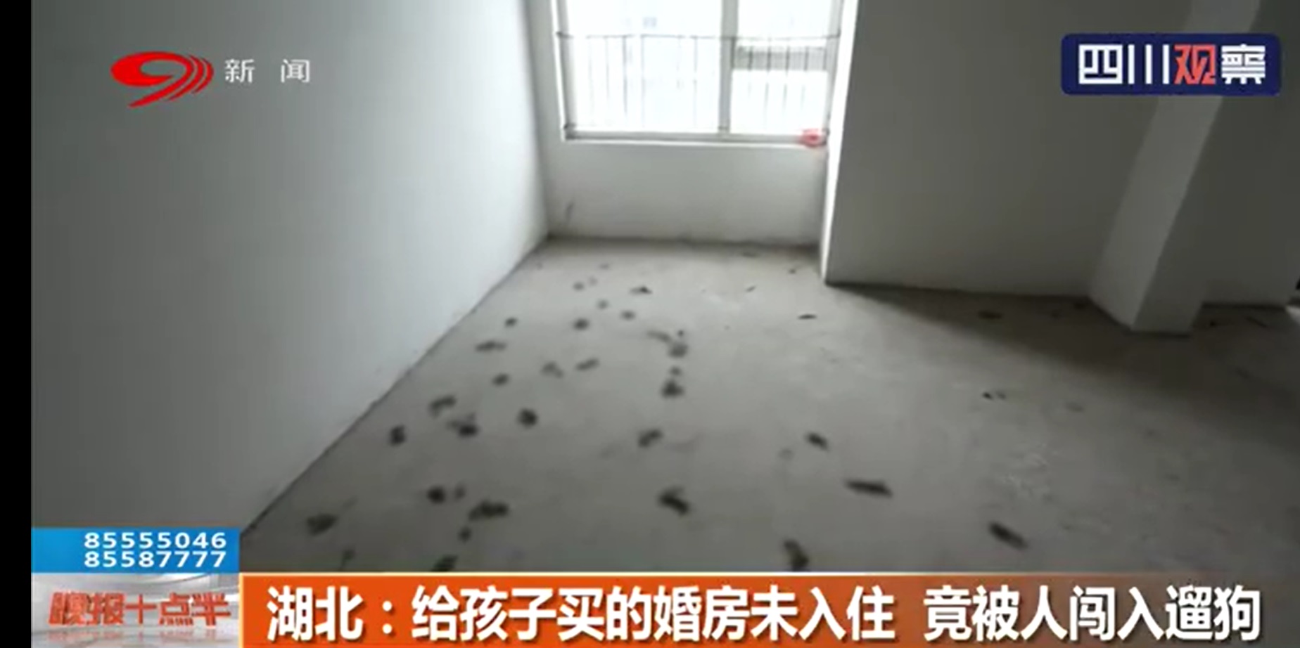 唐姓婦人表示這間房子是要給兒子的新房,沒想到竟被人闖入遛狗還留下滿地黃金。 (翻攝自四川觀察視頻)