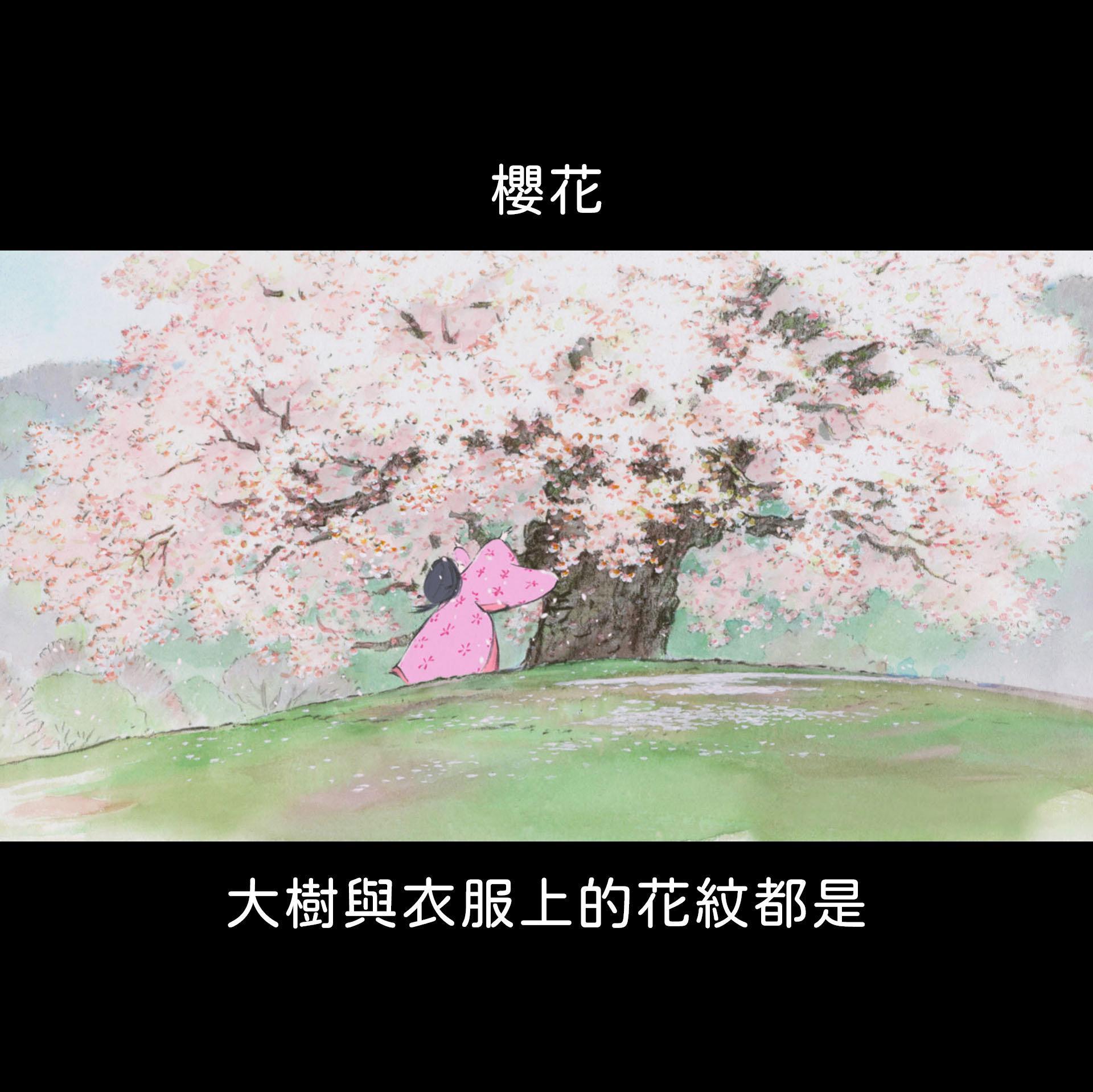 植物園小編帶大家認識吉卜力劇照中的植物。(翻攝自台北植物園臉書)