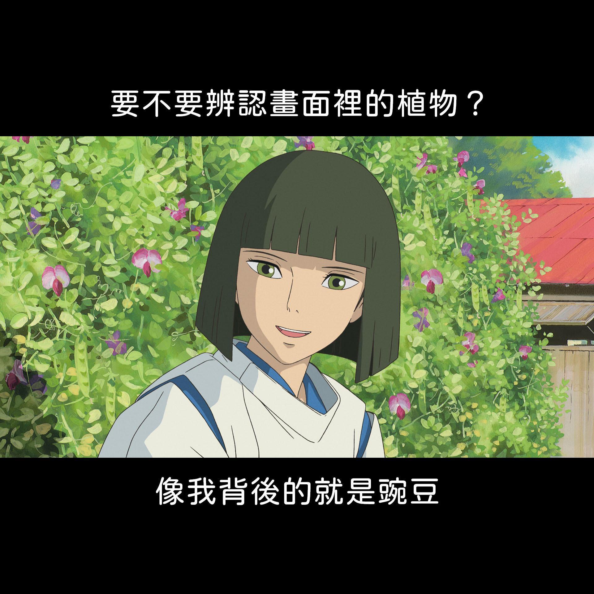 植物園小編帶大家認識吉卜力劇照中的植物。(翻攝自台北植物園臉書)