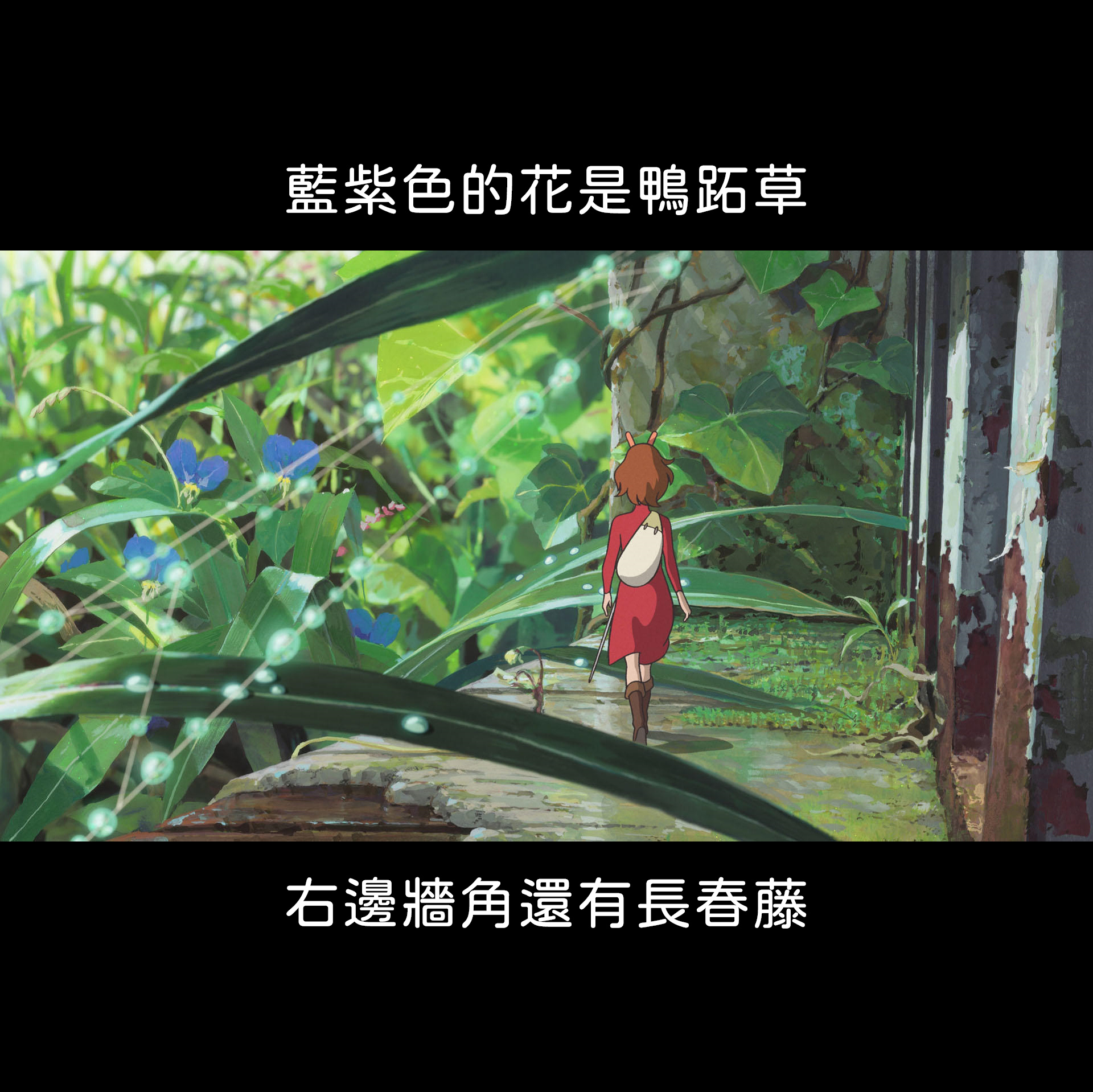 植物園小編帶大家認識吉卜力劇照中的植物。(翻攝自台北植物園臉書)