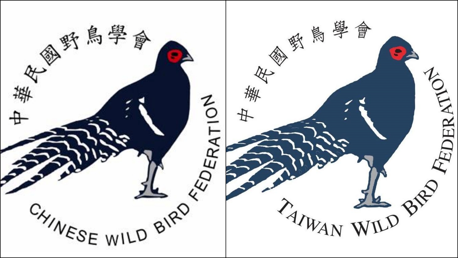 中華鳥會宣布，將英文名稱中的Chinese改為Taiwan，以提昇國際識別度。（翻攝自中華鳥會臉書）