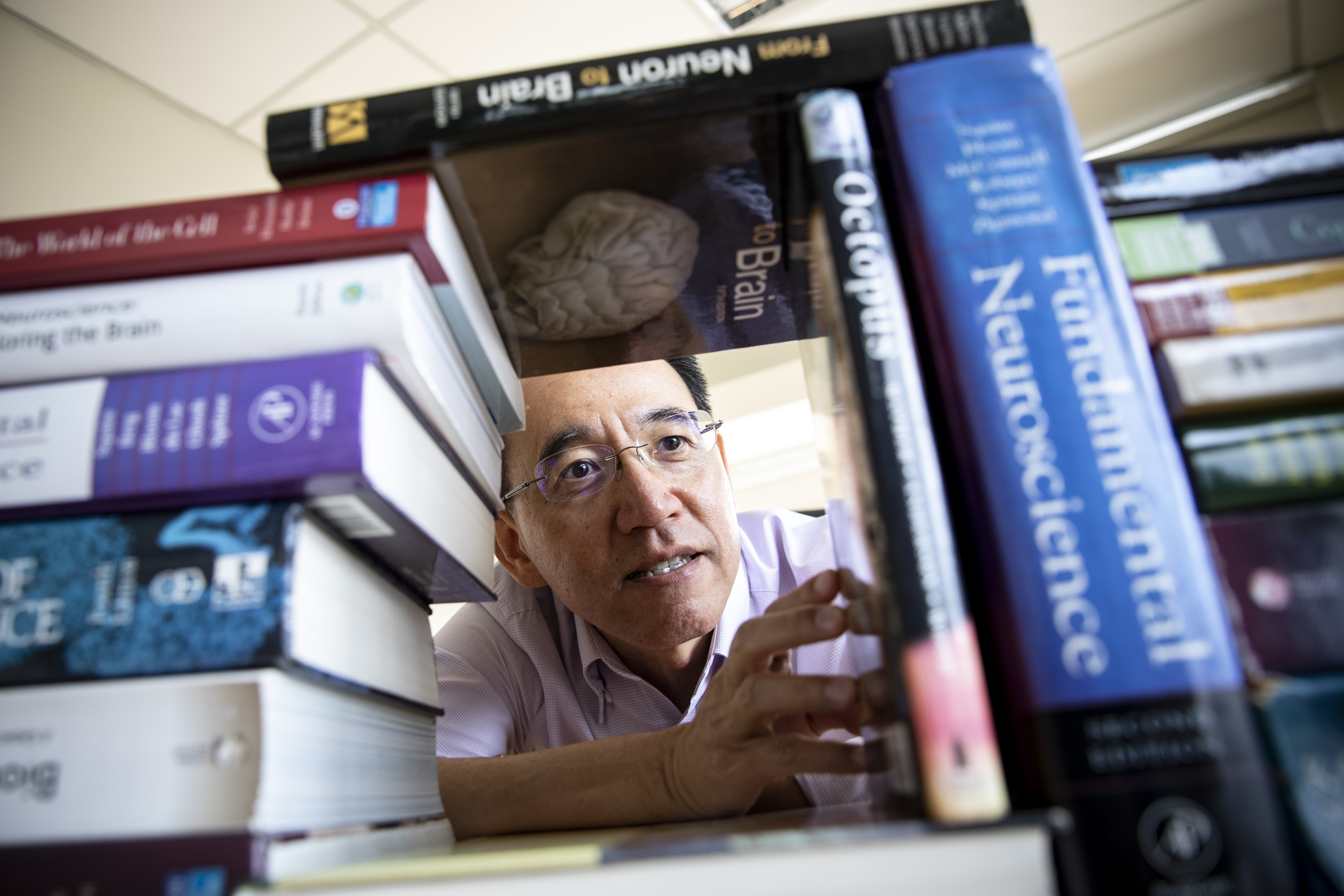 焦傳金的通識課「腦與心智」解說人的大腦，他的研究室也放著不少相關書籍。