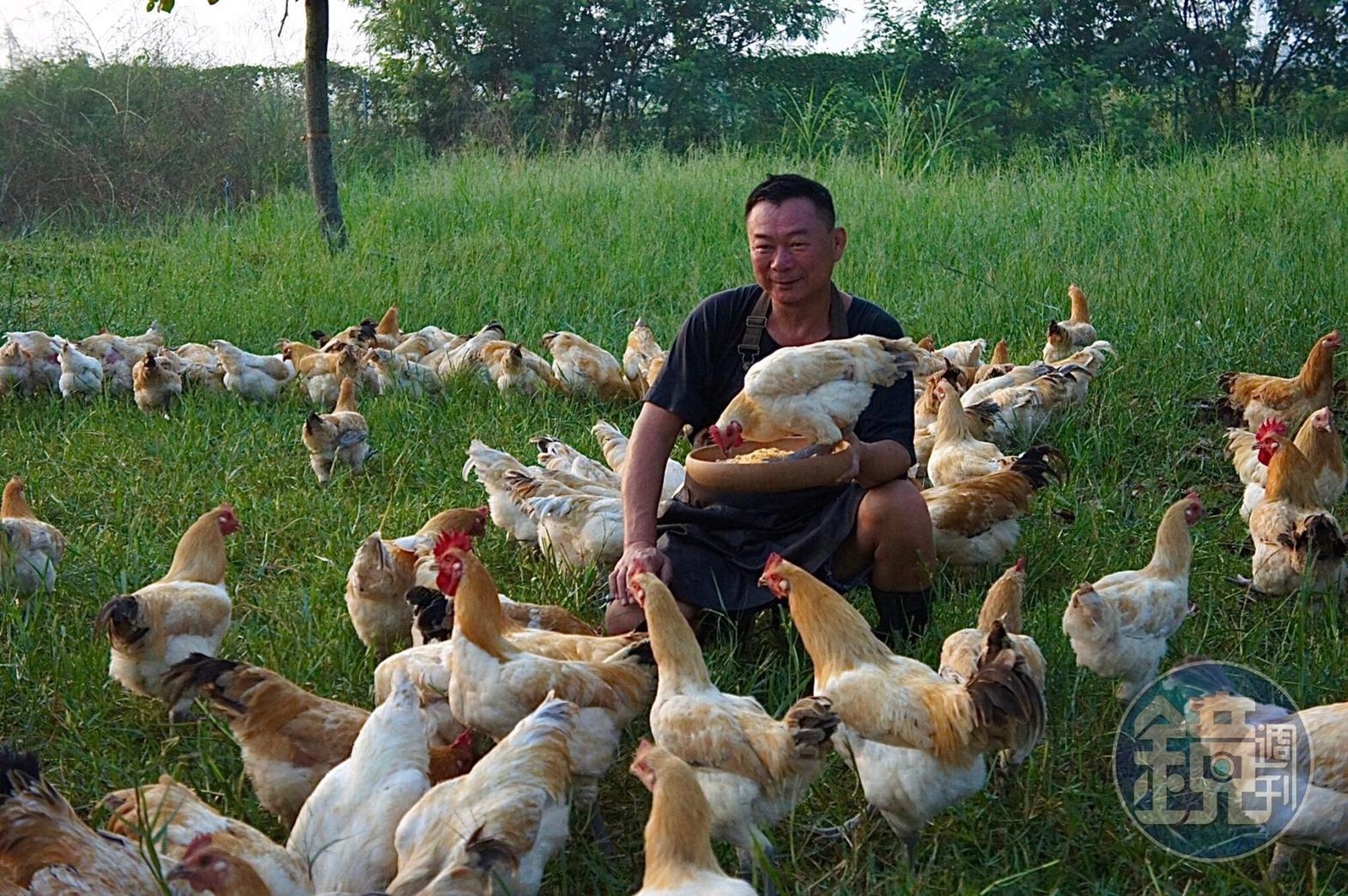 有隻神氣十足的帕修斯,特別喜歡黏著蔡一宏。