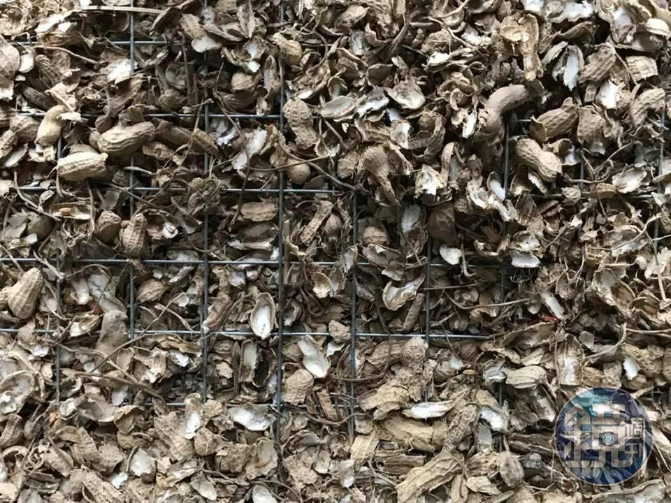 避免老鼠挖地洞摸走小雞的鐵絲網。(凱馨提供)