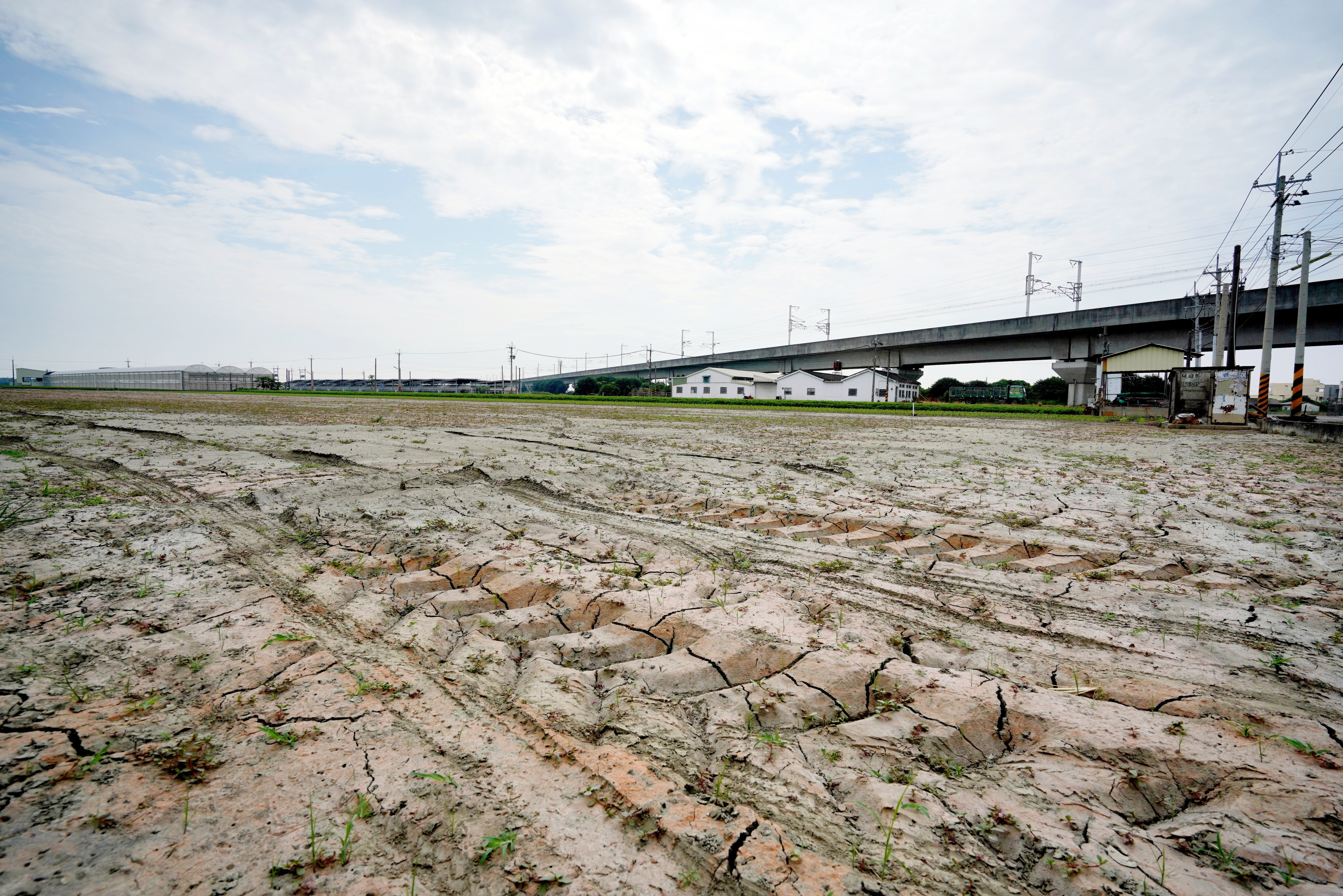 官方決定釋出2萬公頃廢耕農地讓廠商種電，台灣太陽能產業等於再注入一劑強心針。