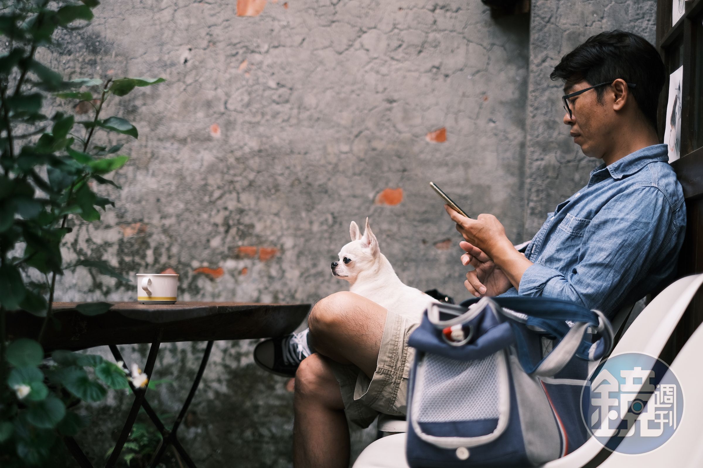 狗狗在其中也能舒服待著，走過經過來Cafe Hytte，想像跟大自然融為一體。