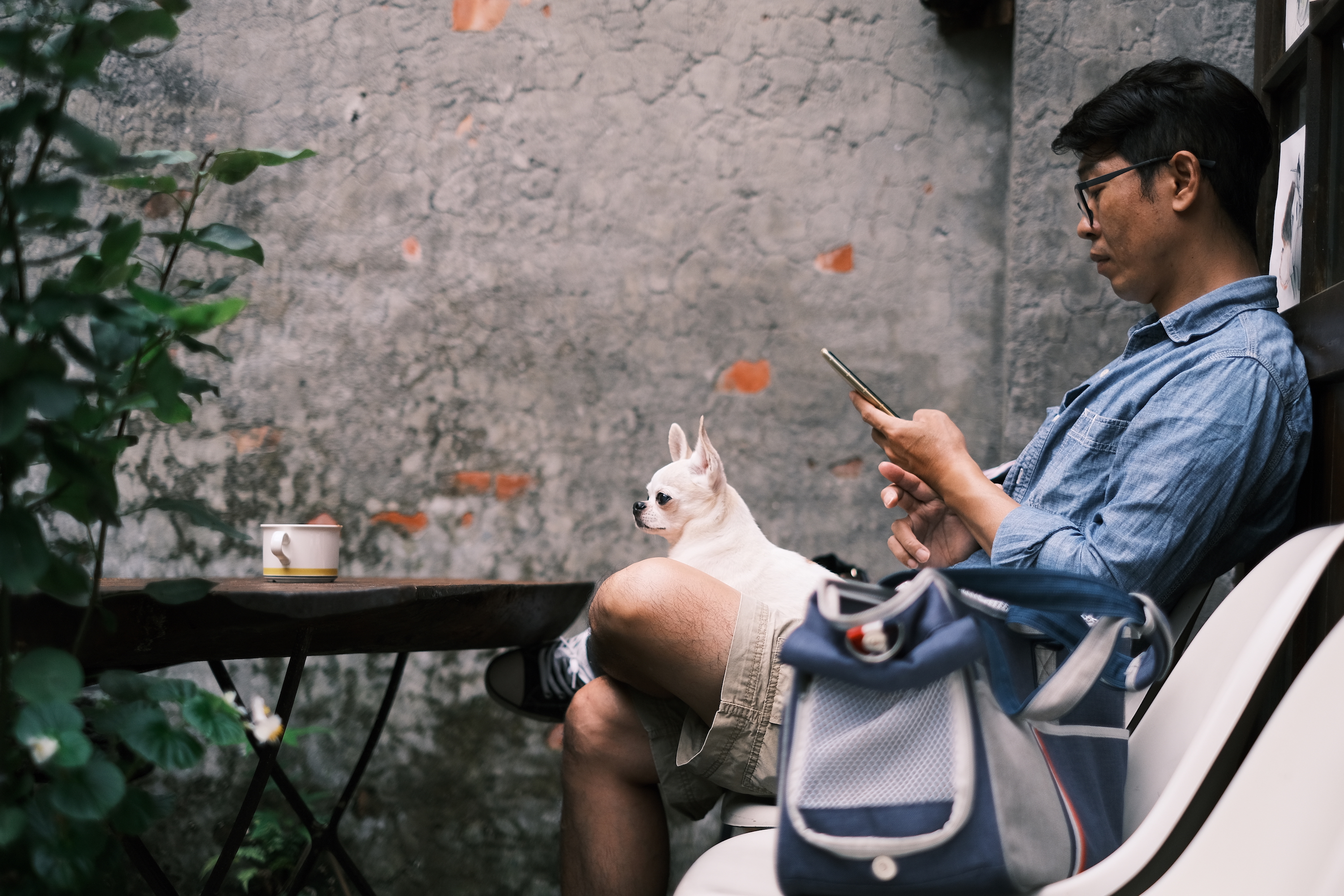 狗狗在其中也能舒服待著，走過經過來Cafe Hytte，想像跟大自然融為一體。