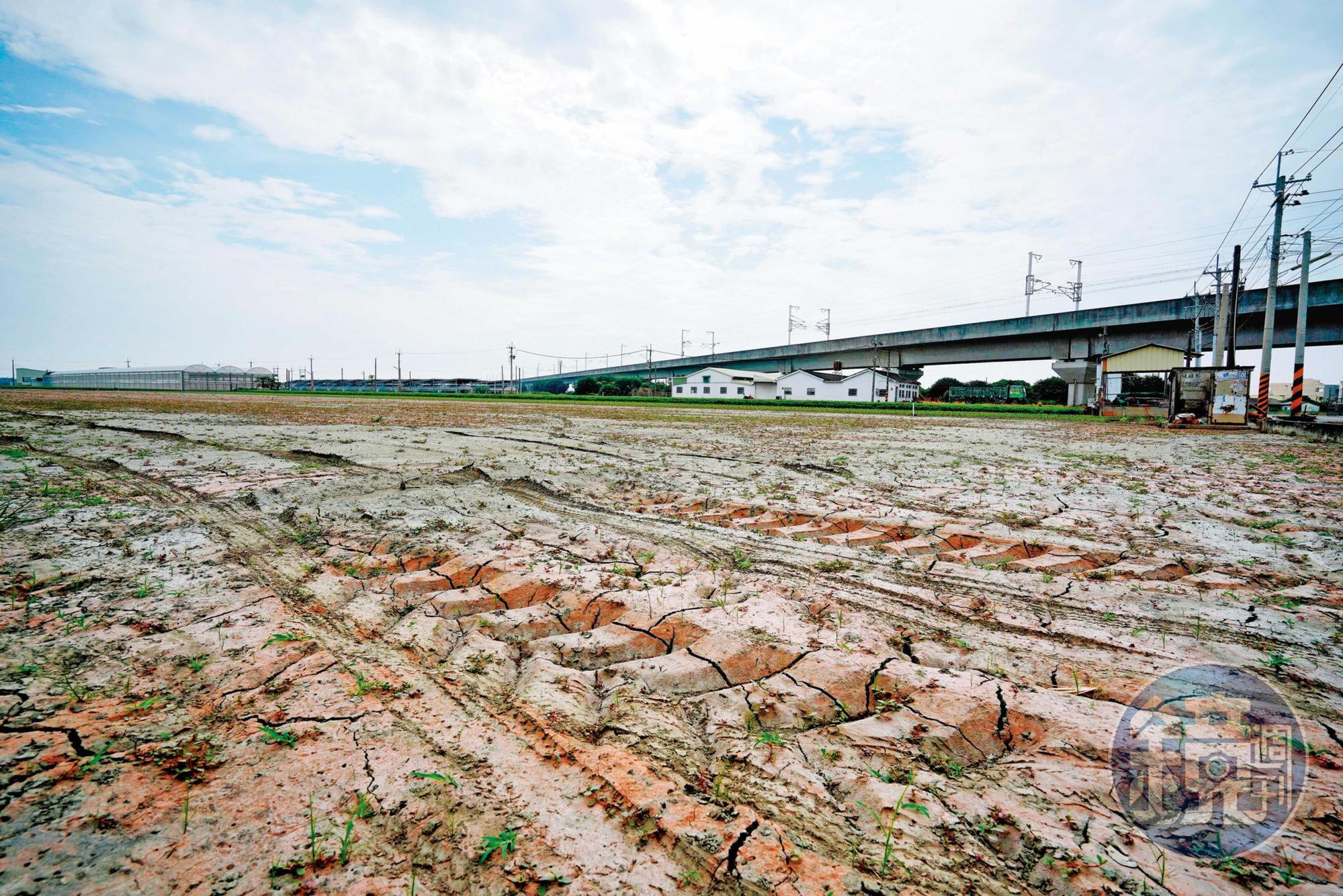 官方決定釋出2萬公頃的廢耕農地，讓廠商種電，台灣太陽能產業等於再注入一劑強心針。