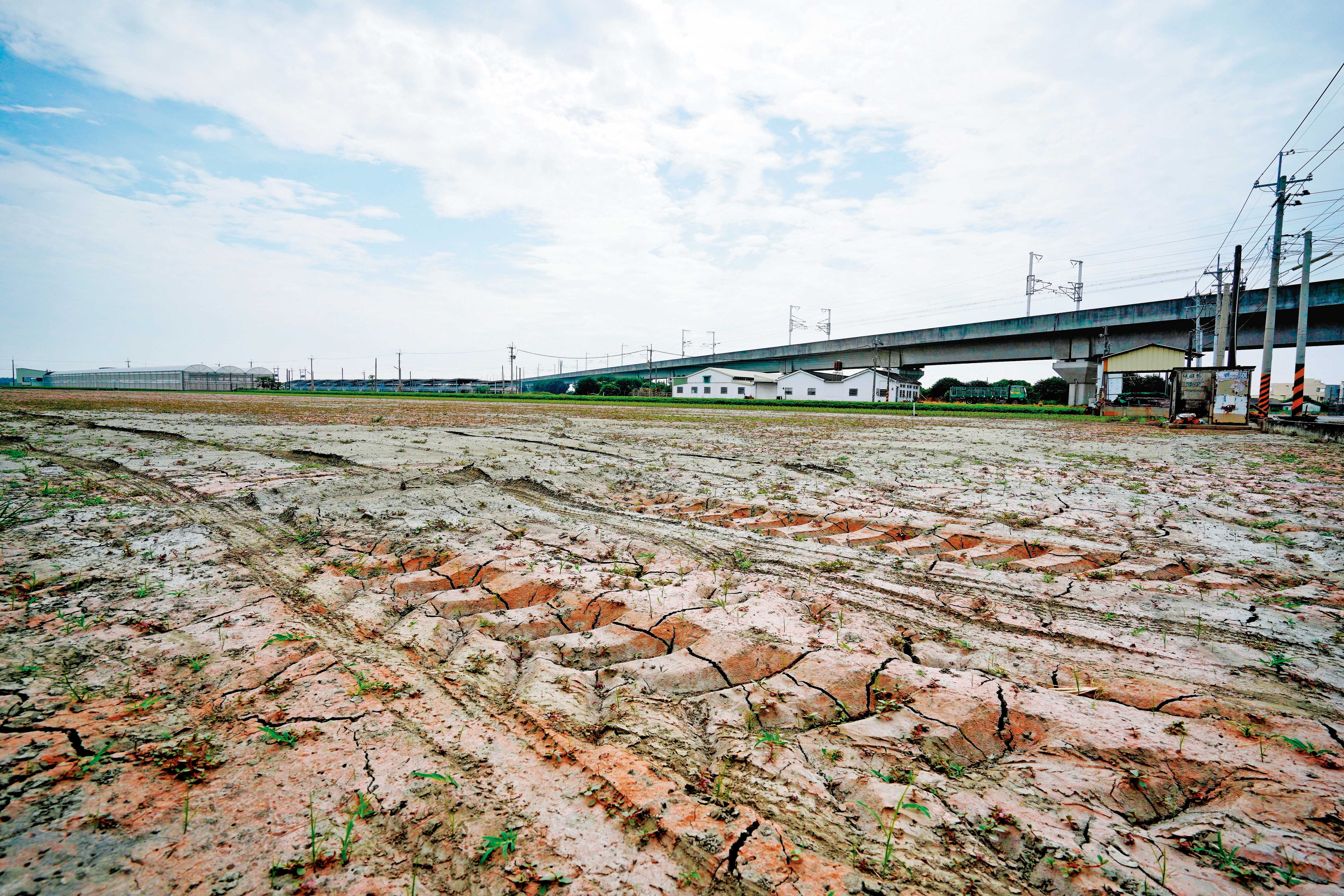 官方決定釋出2萬公頃的廢耕農地，讓廠商種電，台灣太陽能產業等於再注入一劑強心針。