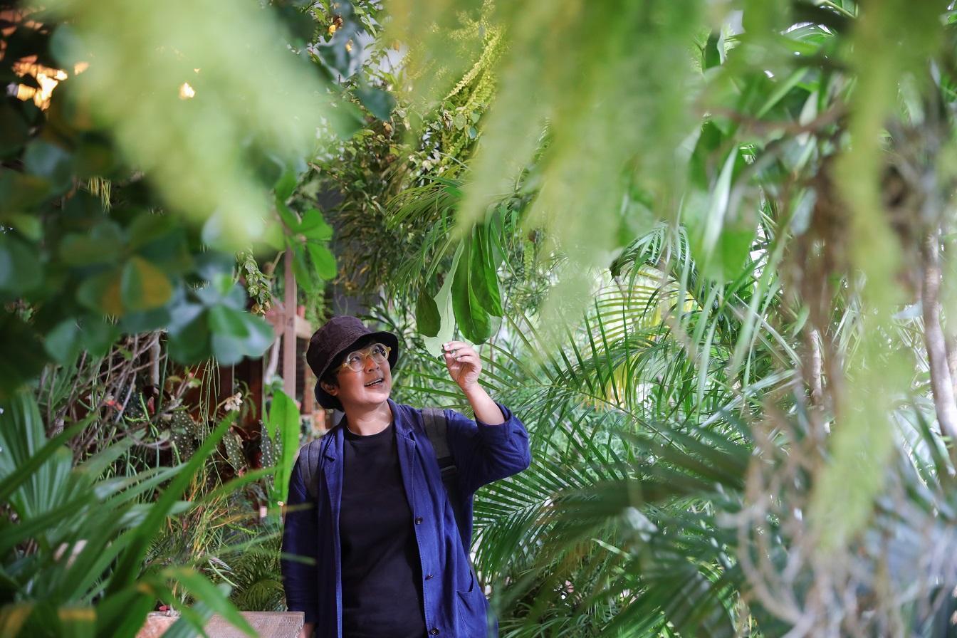 綠意植栽彷彿溫室,包圍整座老宅。